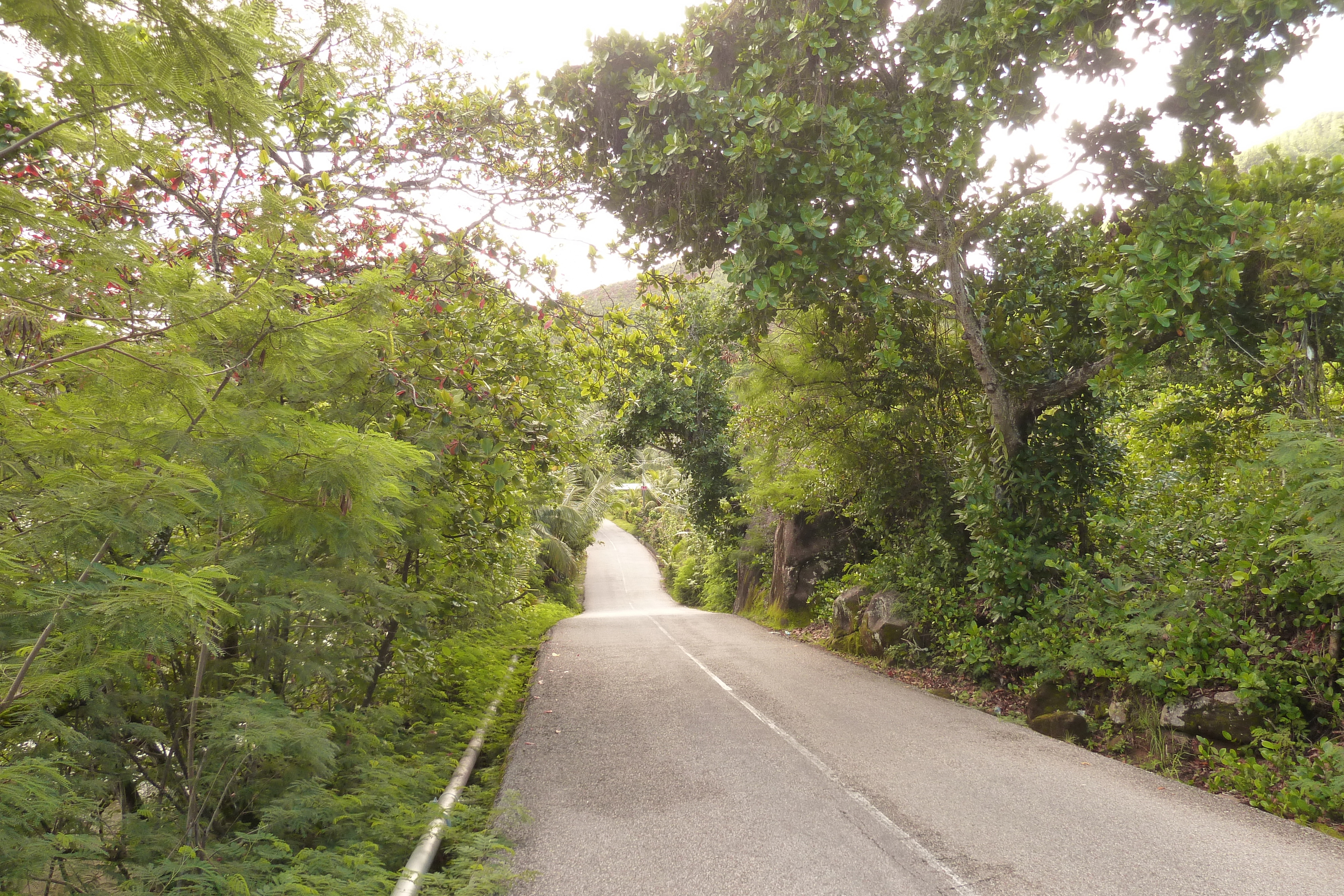 Picture Seychelles Anse Possession 2011-10 29 - History Anse Possession