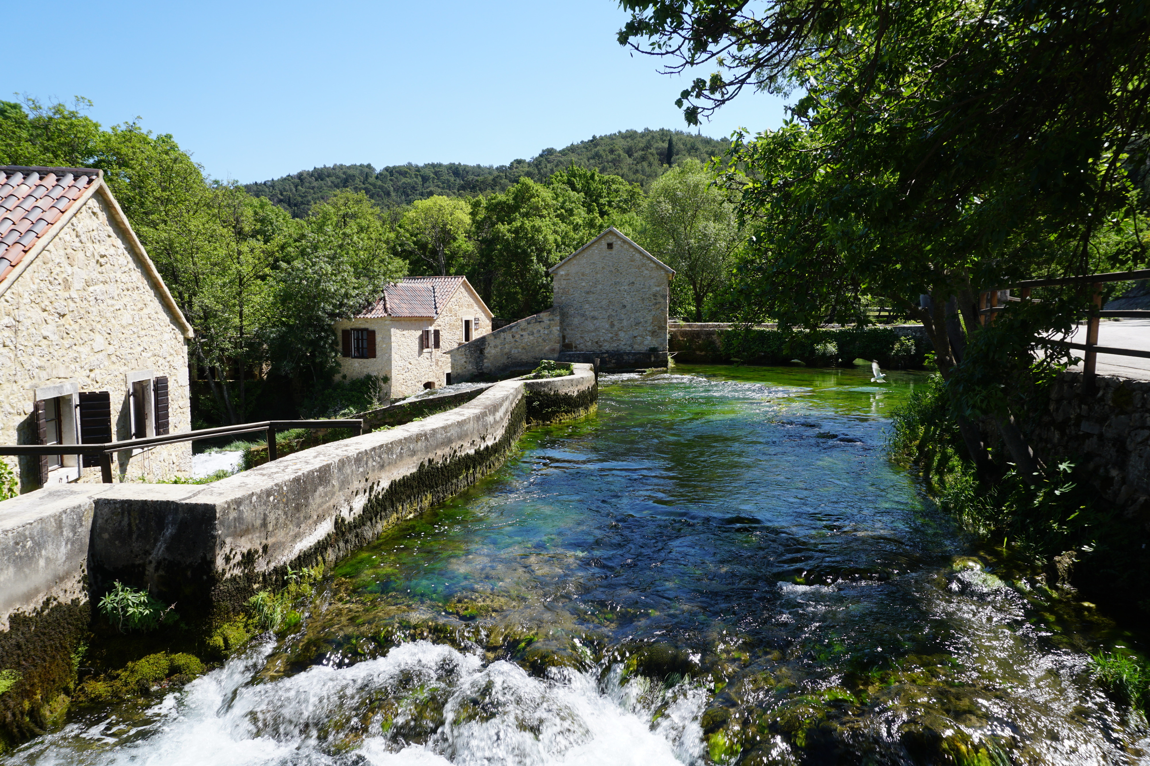 Picture Croatia Krka National Park 2016-04 161 - Tours Krka National Park