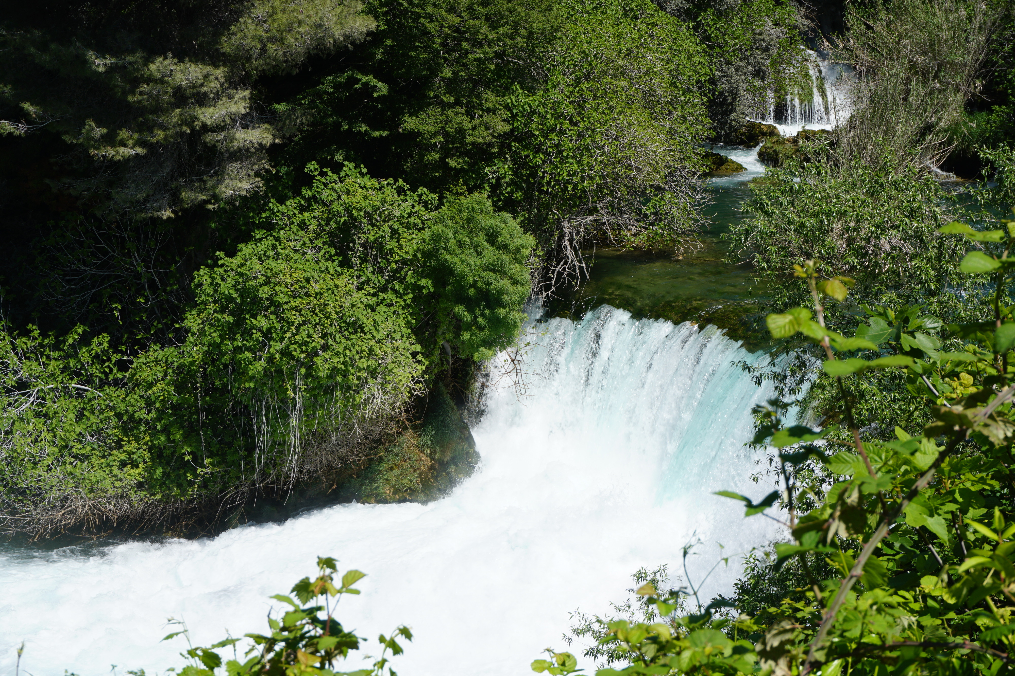 Picture Croatia Krka National Park 2016-04 144 - Around Krka National Park