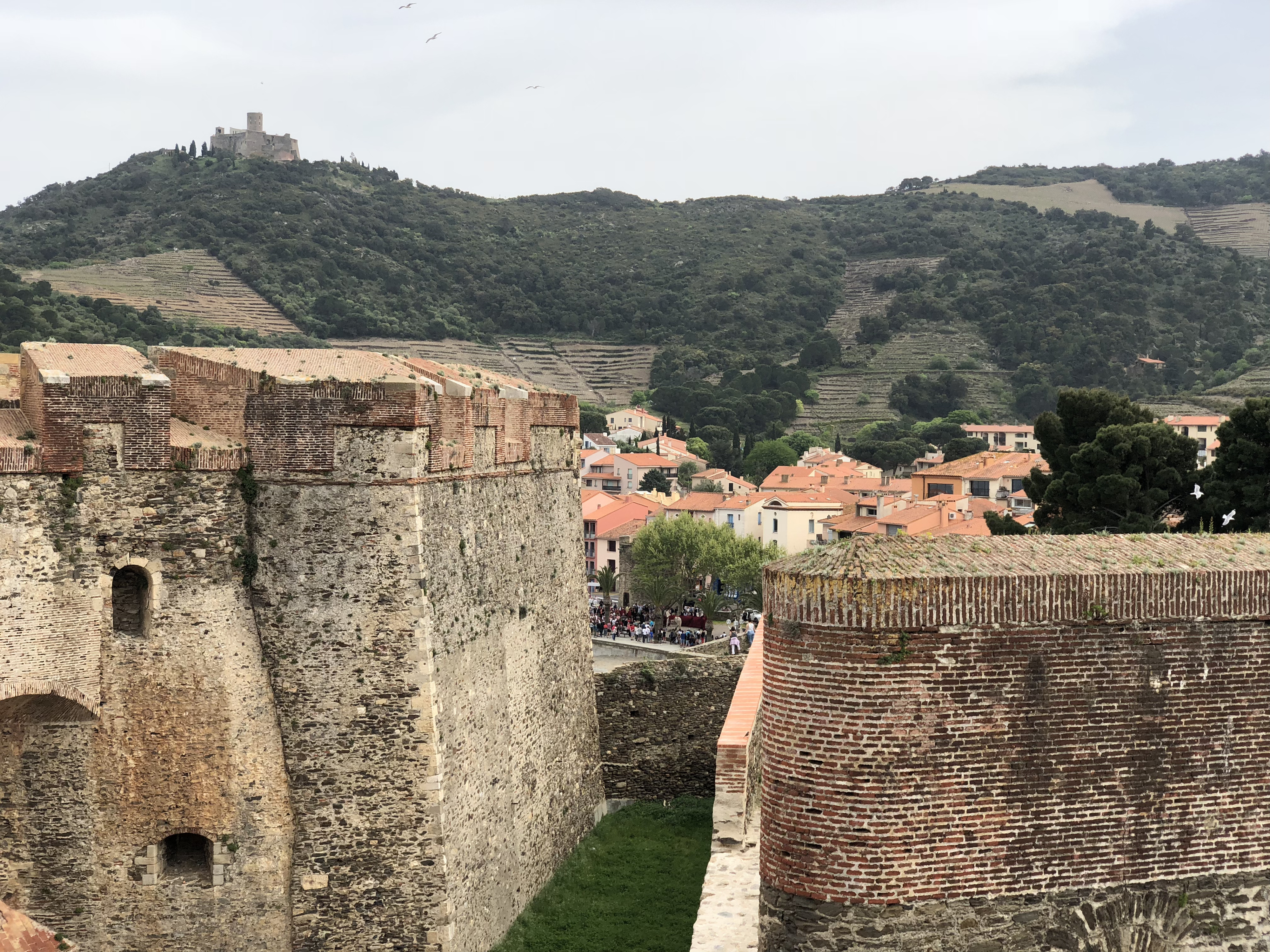 Picture France Collioure 2018-04 189 - Center Collioure