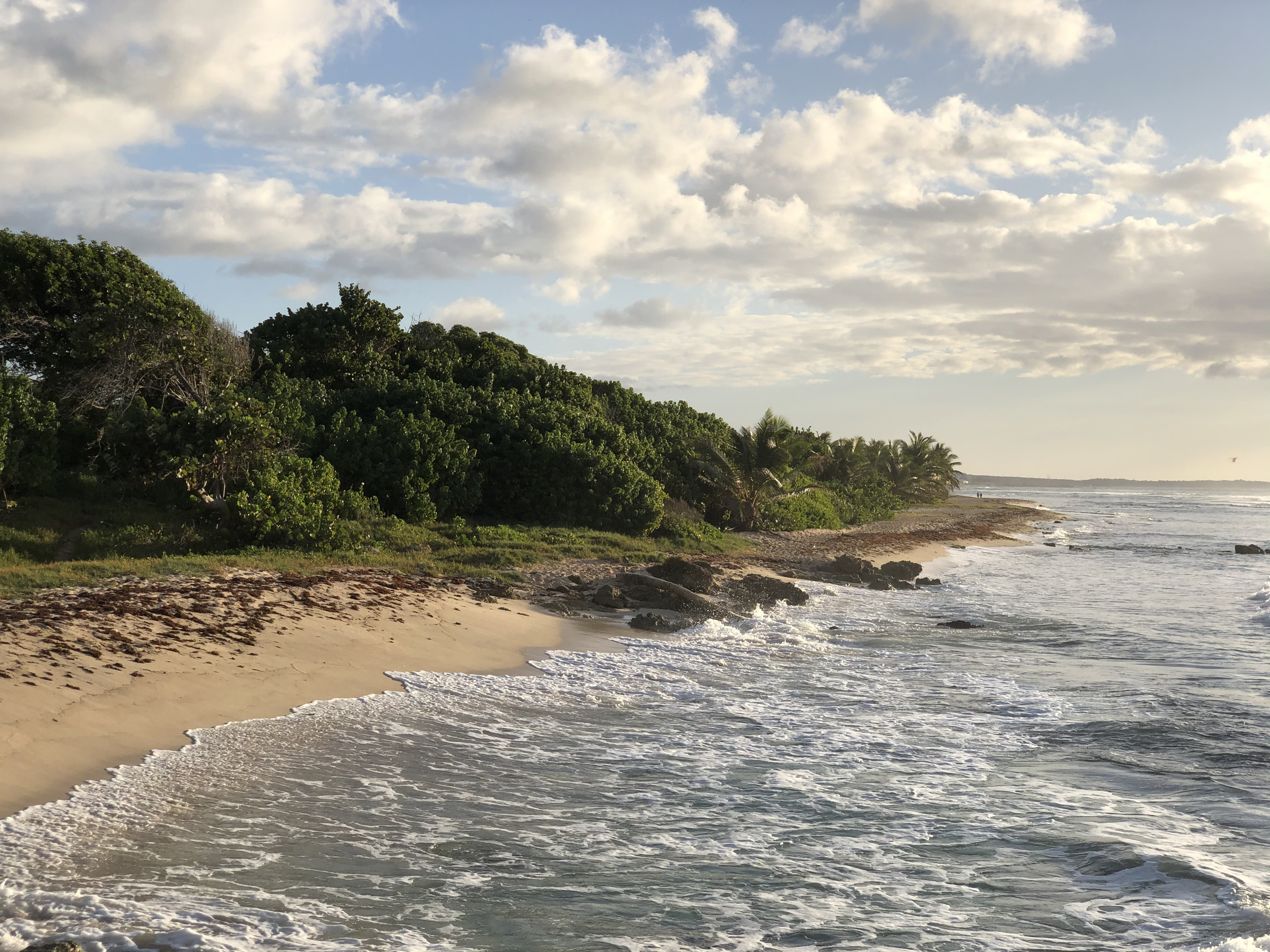 Picture Guadeloupe Saint Francois 2021-02 6 - Tours Saint Francois