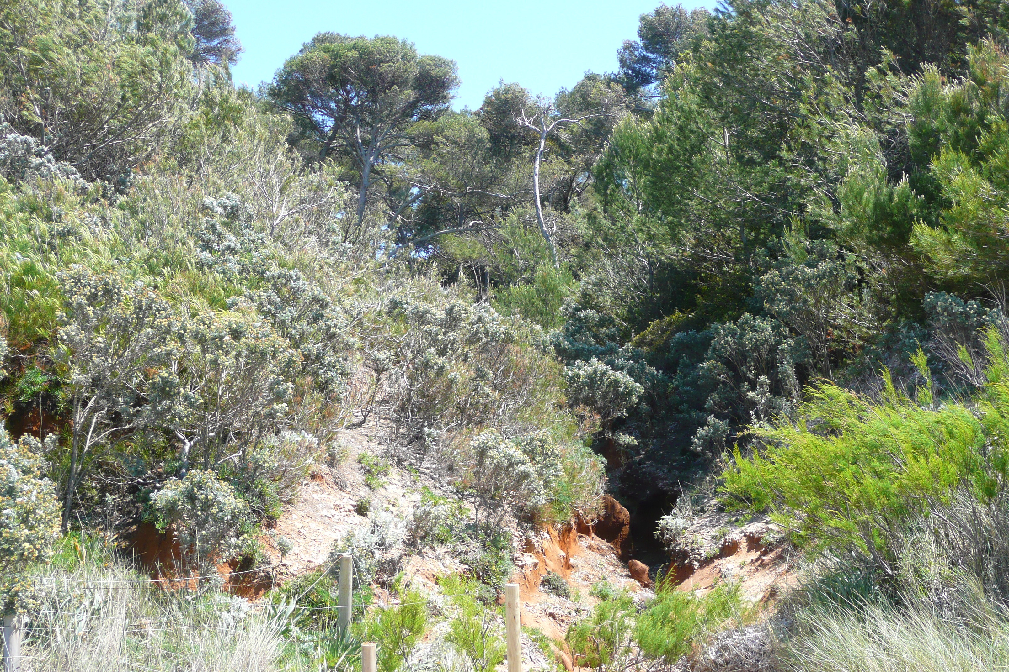 Picture France Porquerolles Island Courtade beach 2008-05 42 - Tours Courtade beach