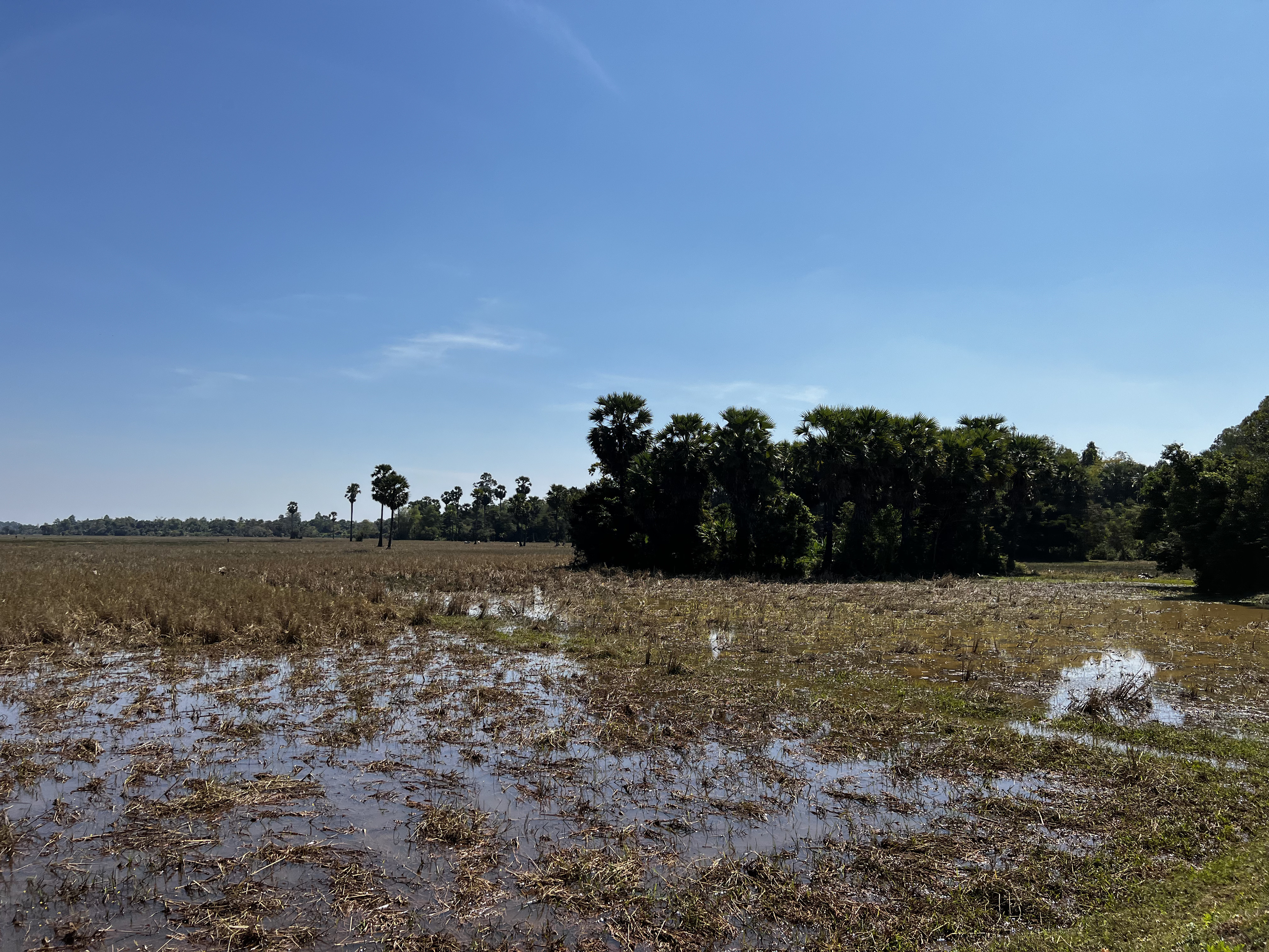 Picture Cambodia Siem Reap 2023-01 82 - History Siem Reap