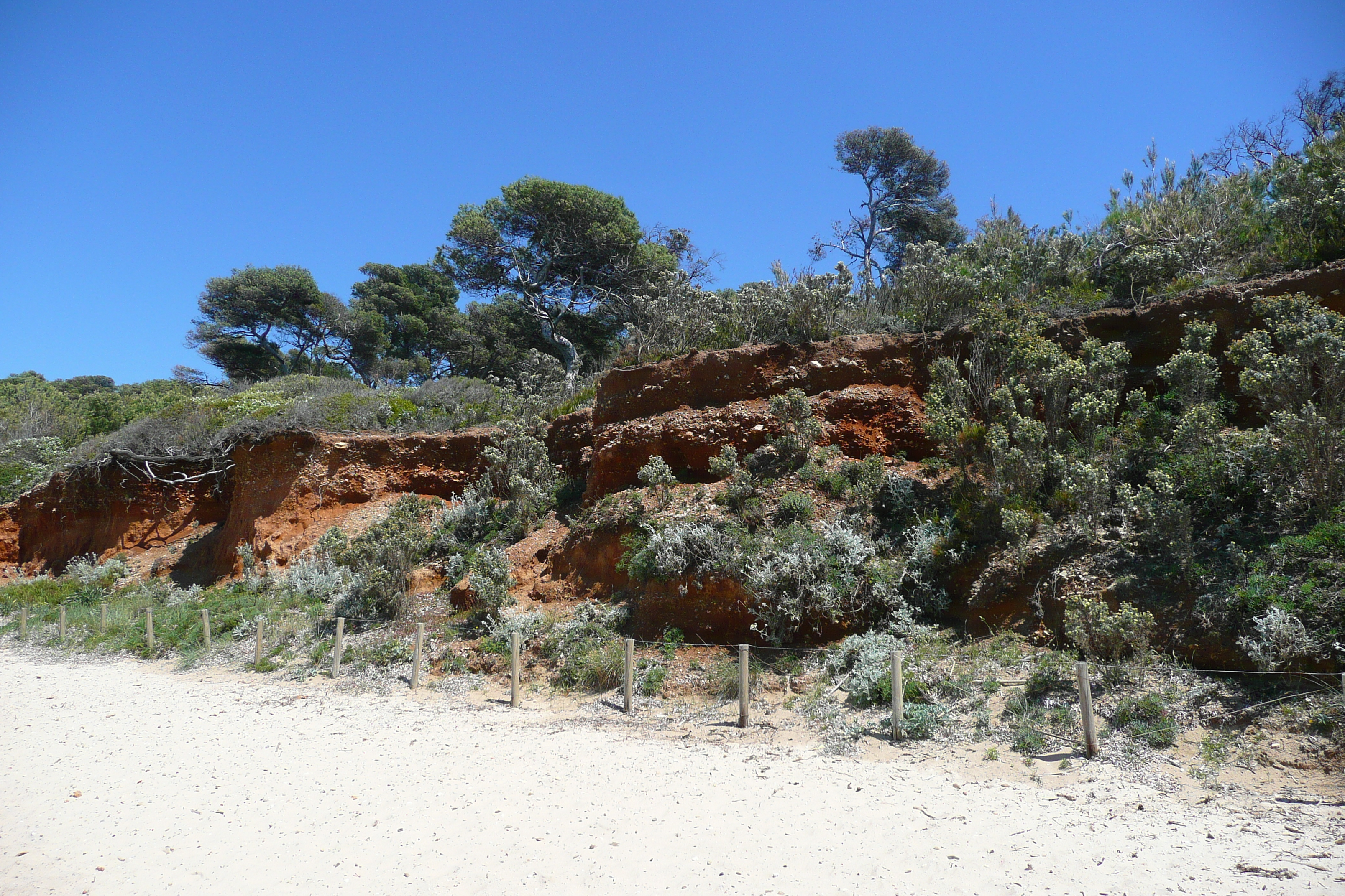 Picture France Porquerolles Island Courtade beach 2008-05 27 - Journey Courtade beach