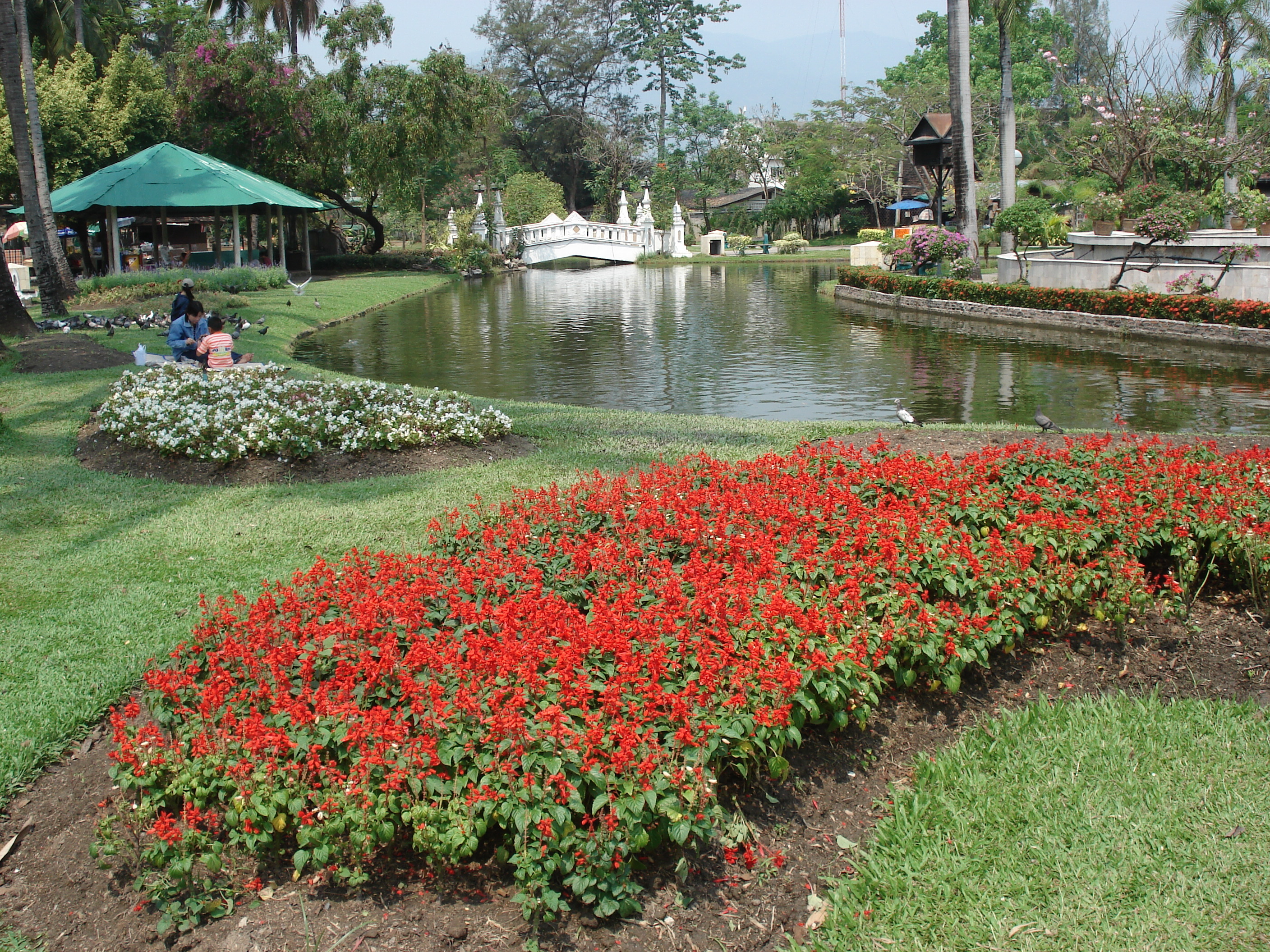 Picture Thailand Chiang Mai Inside Canal Buak Had Park 2006-04 4 - History Buak Had Park