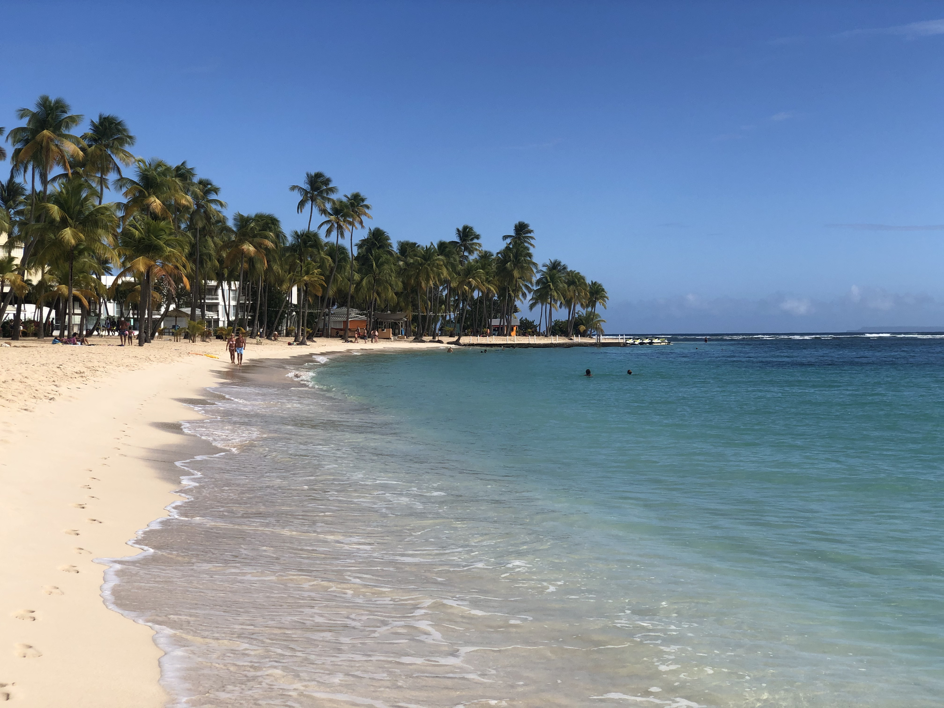 Picture Guadeloupe La Caravelle Beach 2021-02 132 - Discovery La Caravelle Beach