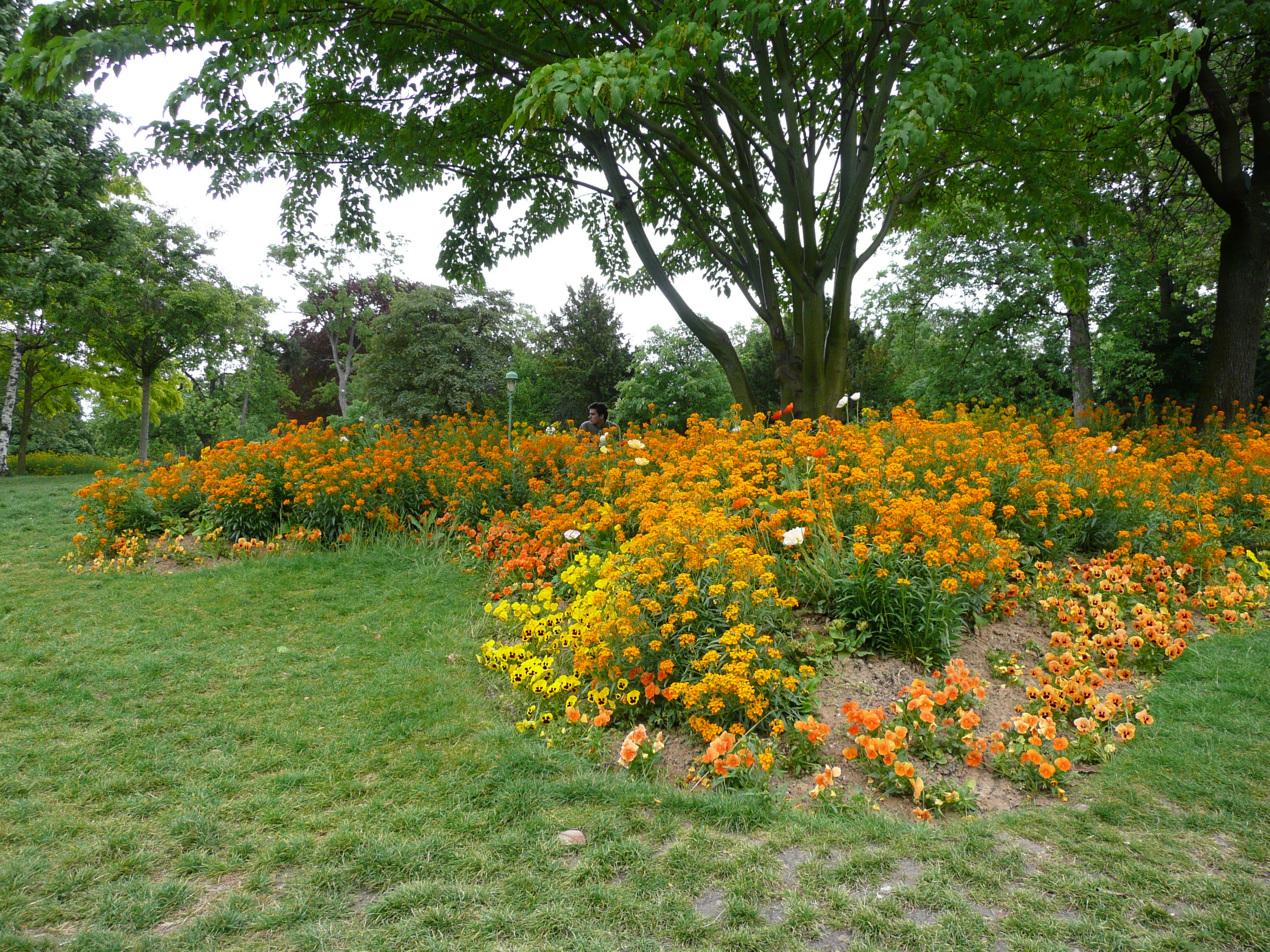 Picture France Paris Monceau Garden 2007-06 10 - Discovery Monceau Garden