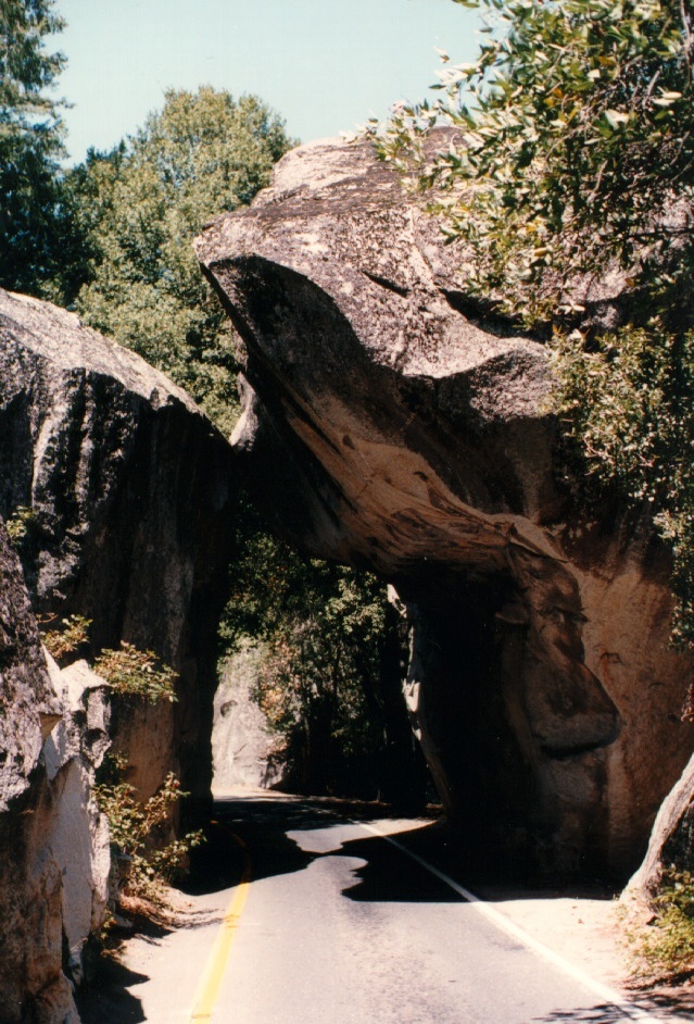 Picture United States Yosemite National Park 1992-08 35 - Tour Yosemite National Park