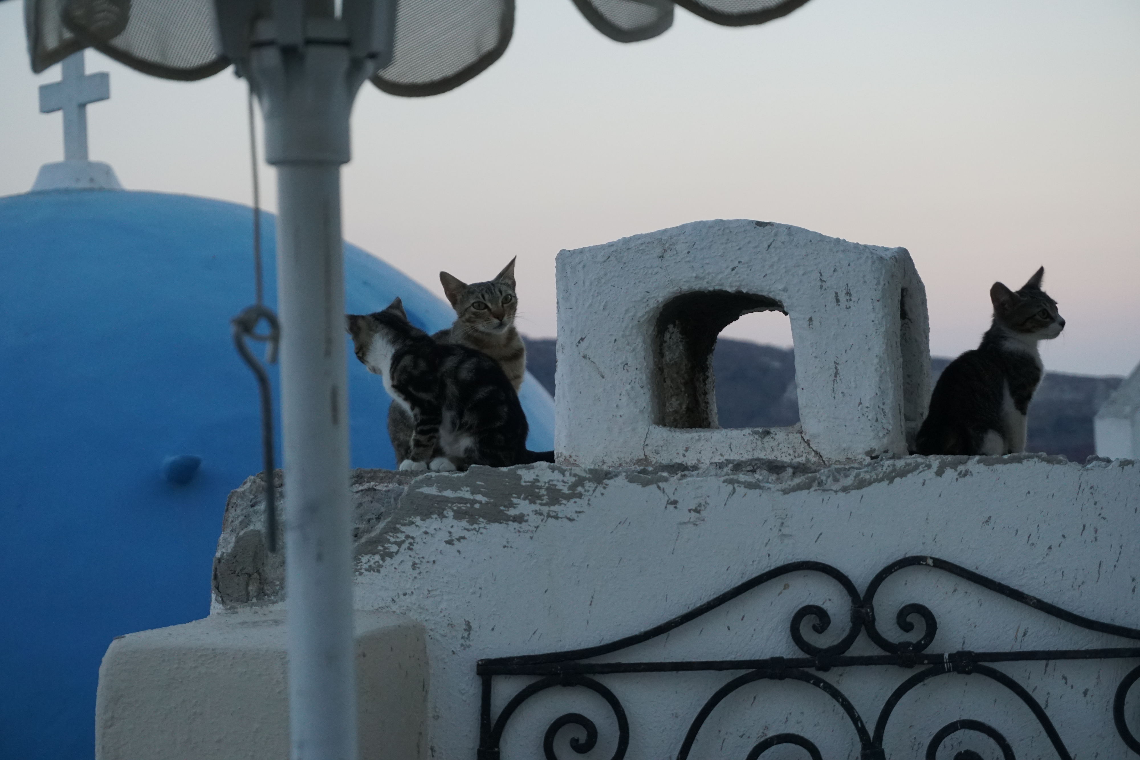 Picture Greece Santorini Oia cave house 2016-07 23 - Discovery Oia cave house