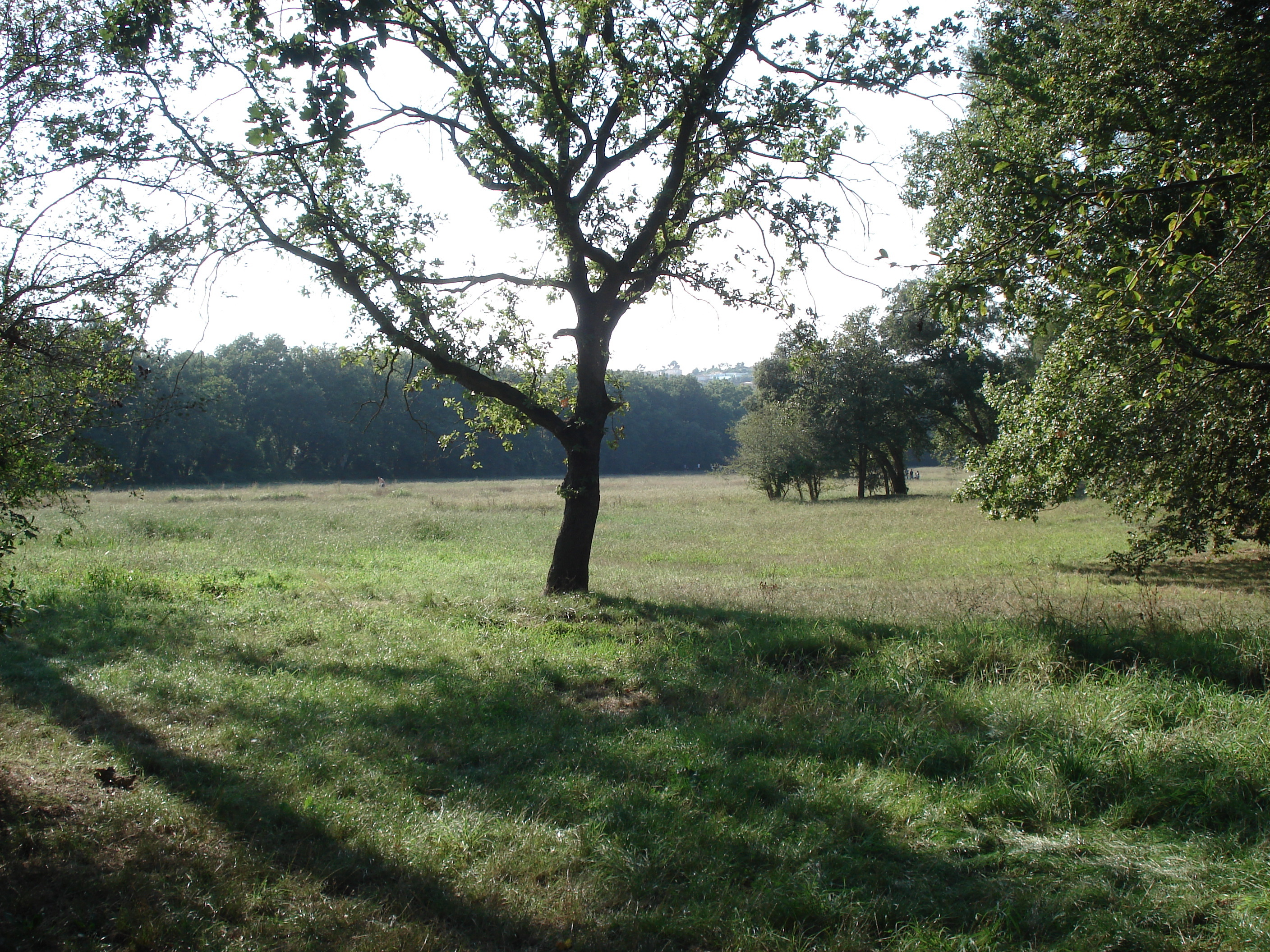 Picture France Villeneuve Loubet Parc de Vaugrenier 2006-09 2 - Journey Parc de Vaugrenier