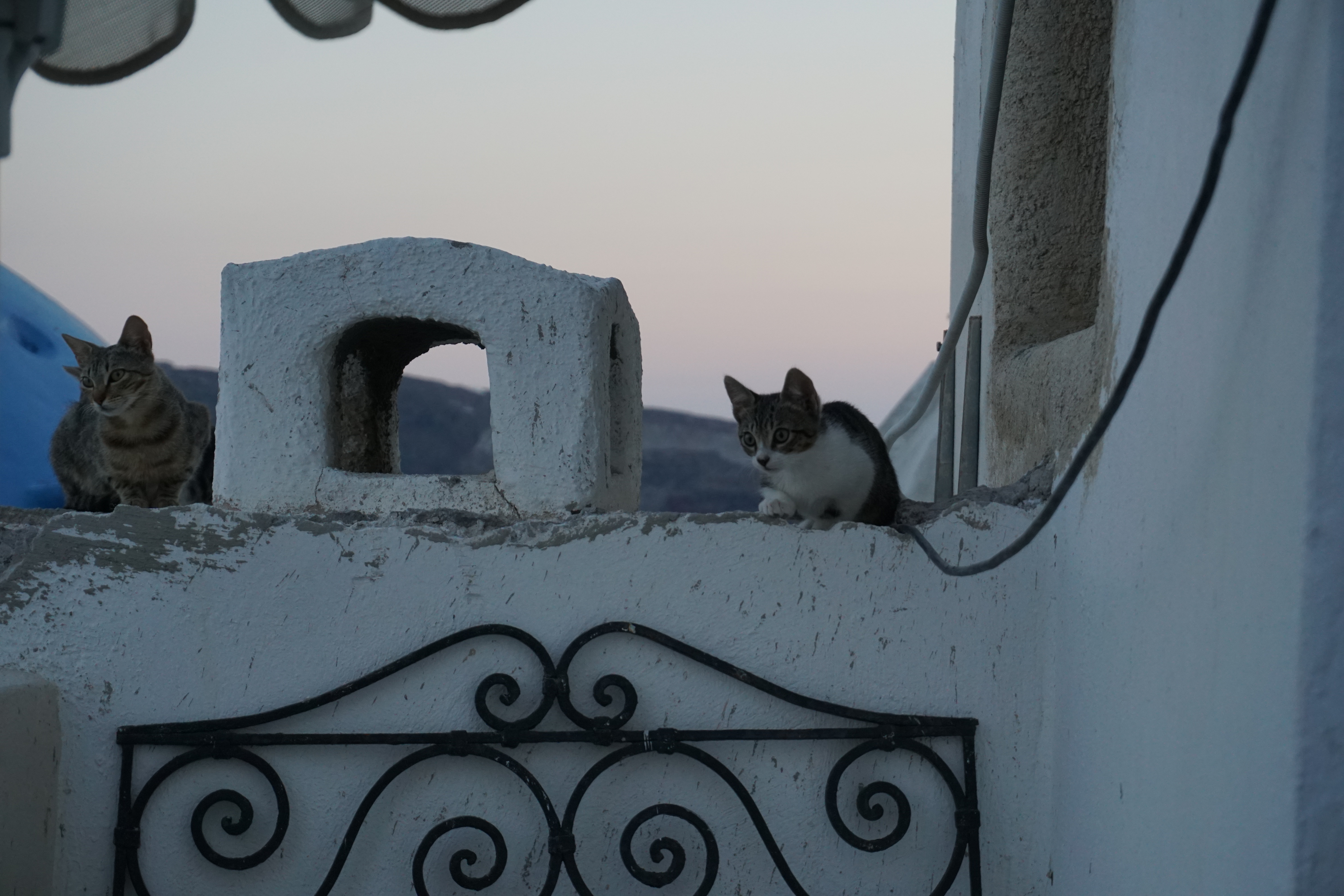 Picture Greece Santorini Oia cave house 2016-07 18 - Journey Oia cave house