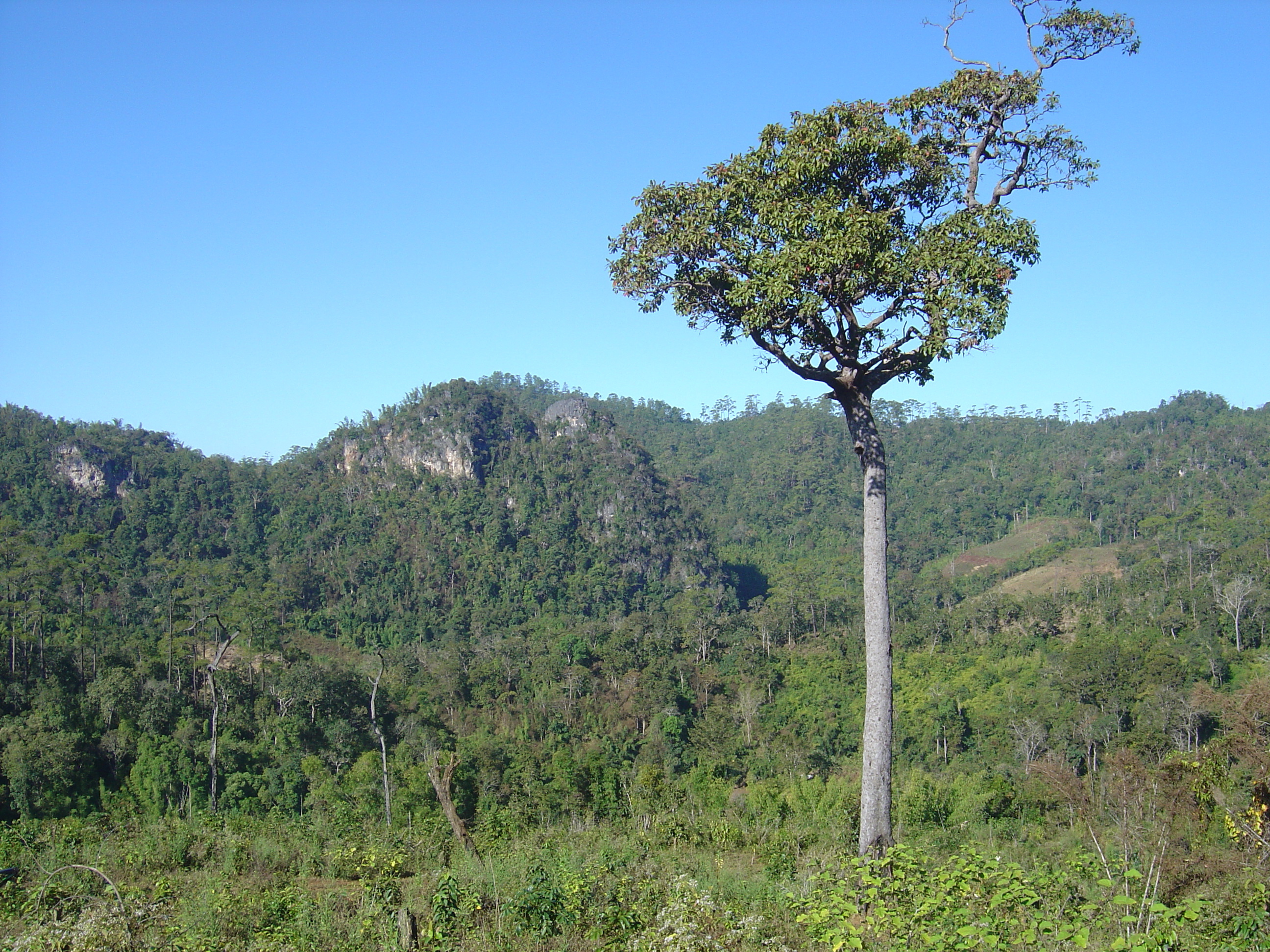 Picture Thailand Pang ma pha 2005-12 72 - Tour Pang ma pha