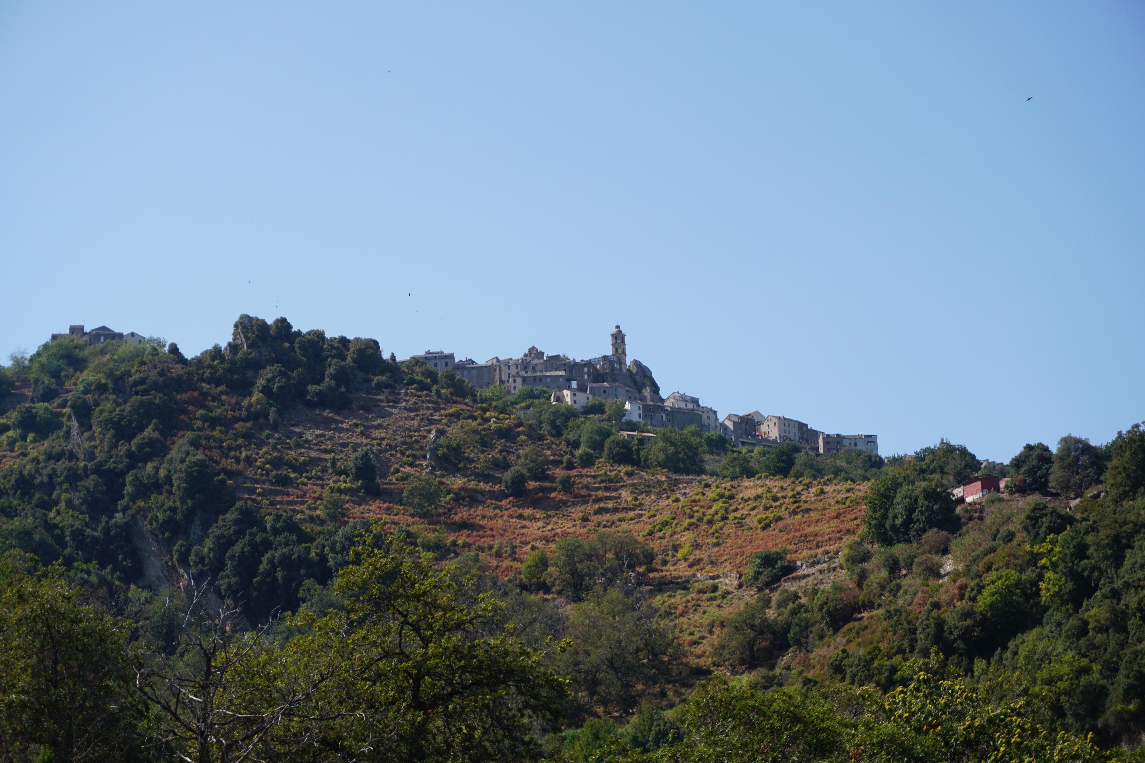 Picture France Corsica Loreto-di-Casinca 2017-09 36 - Tours Loreto-di-Casinca