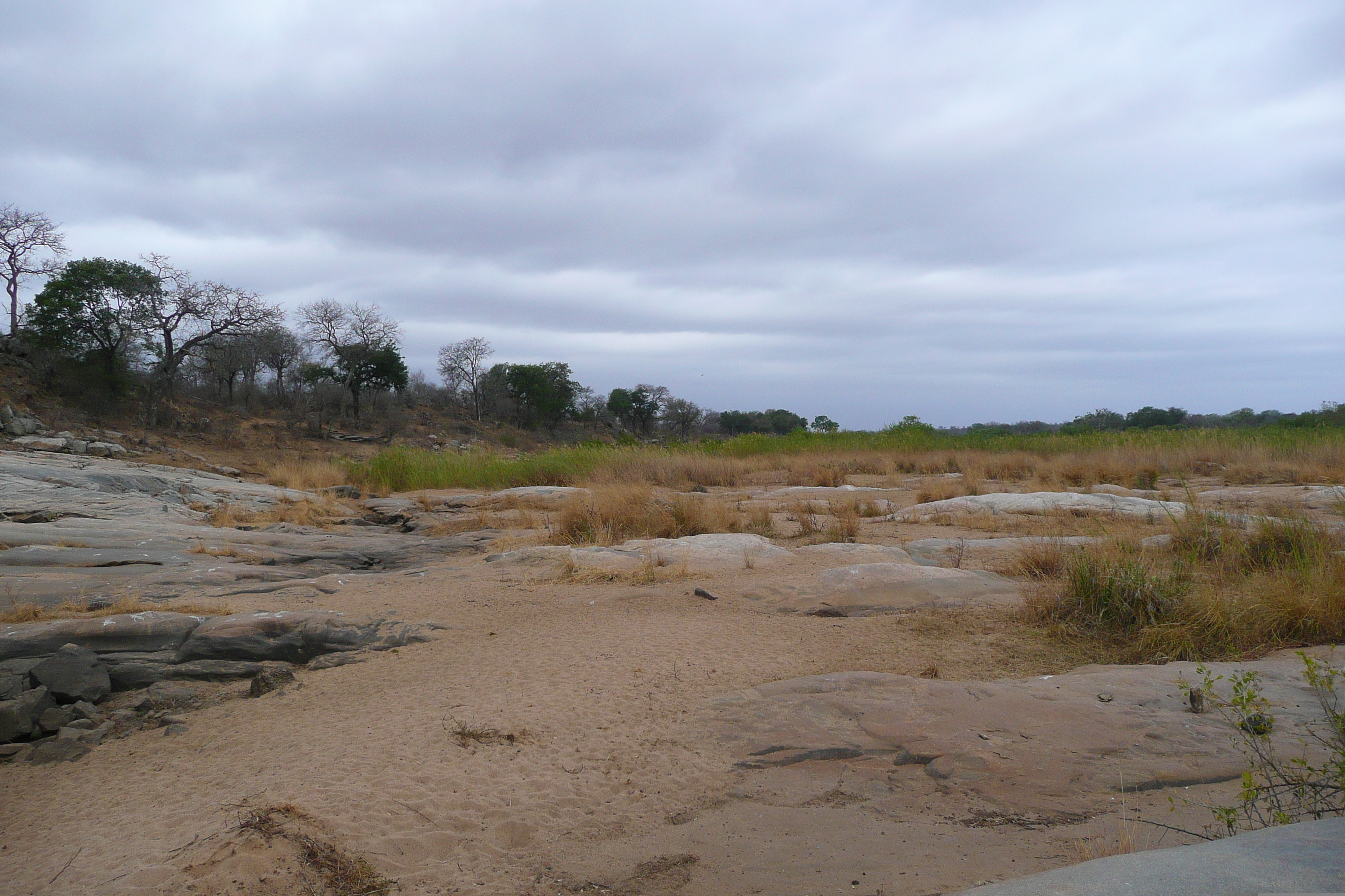 Picture South Africa Kruger National Park Sable River 2008-09 19 - Journey Sable River