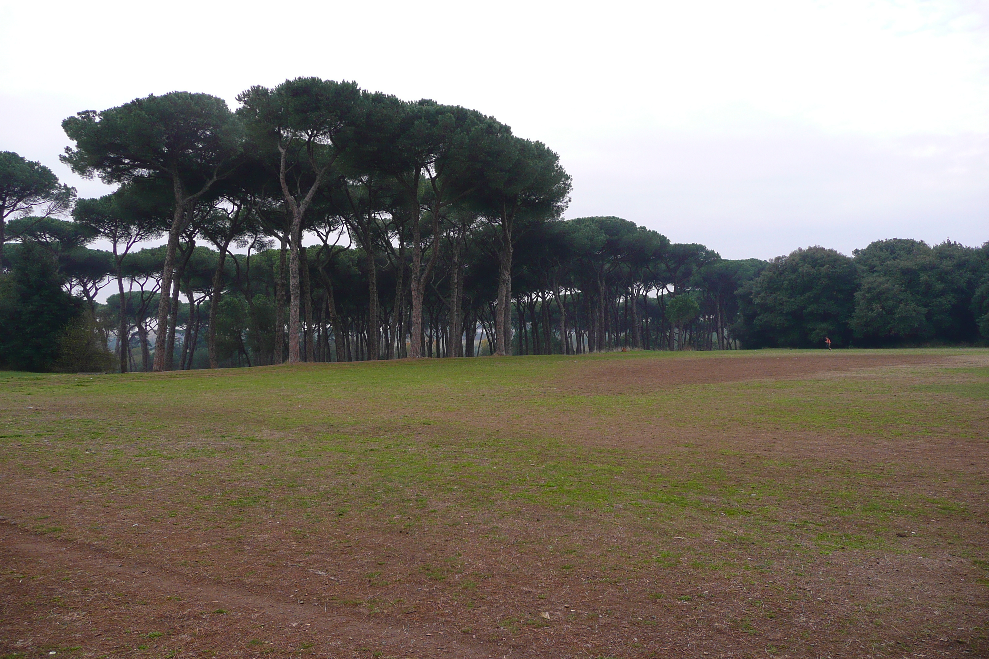 Picture Italy Rome Villa Doria Pamphili 2007-11 17 - Center Villa Doria Pamphili