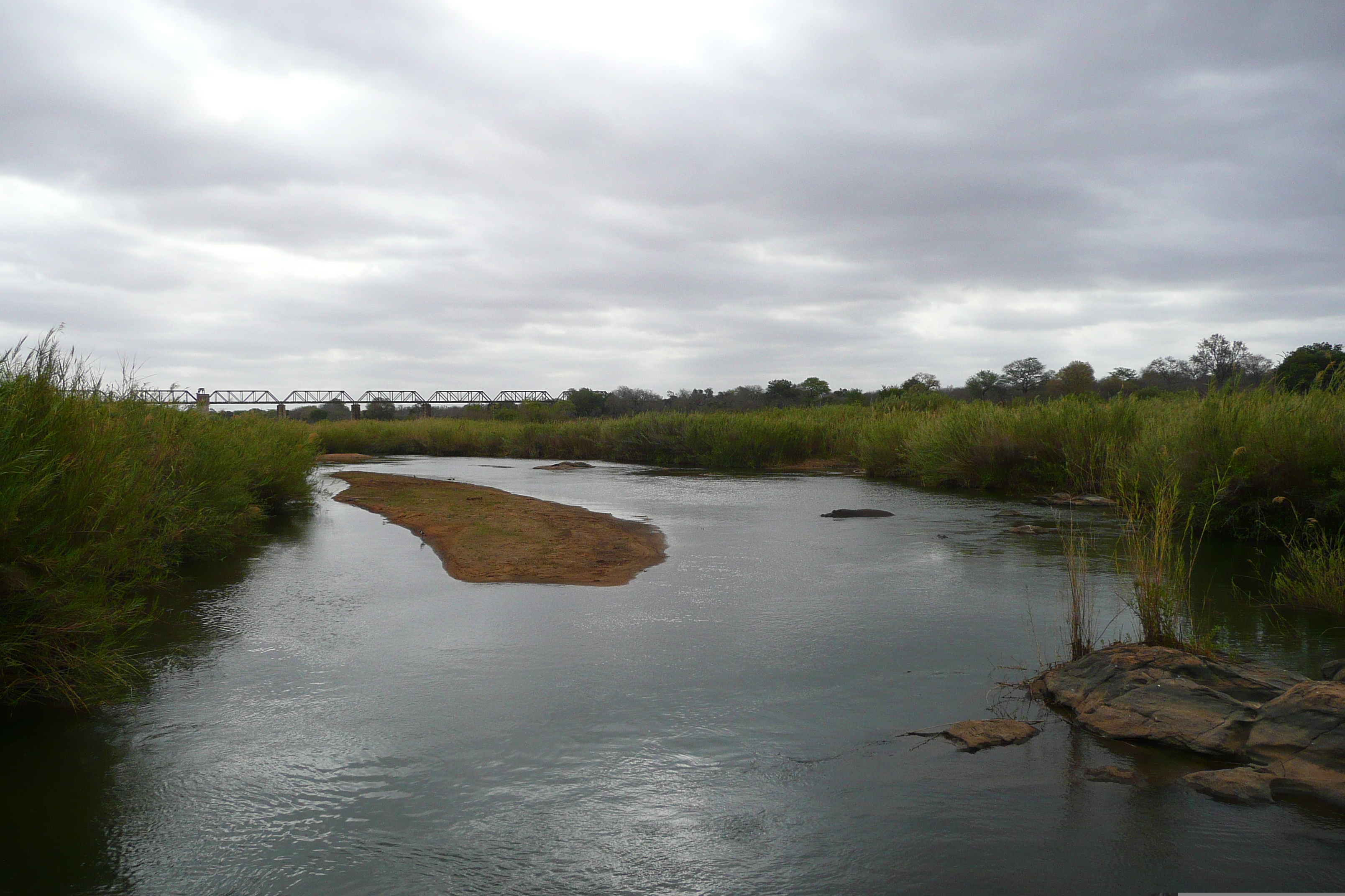 Picture South Africa Kruger National Park Sable River 2008-09 27 - Around Sable River