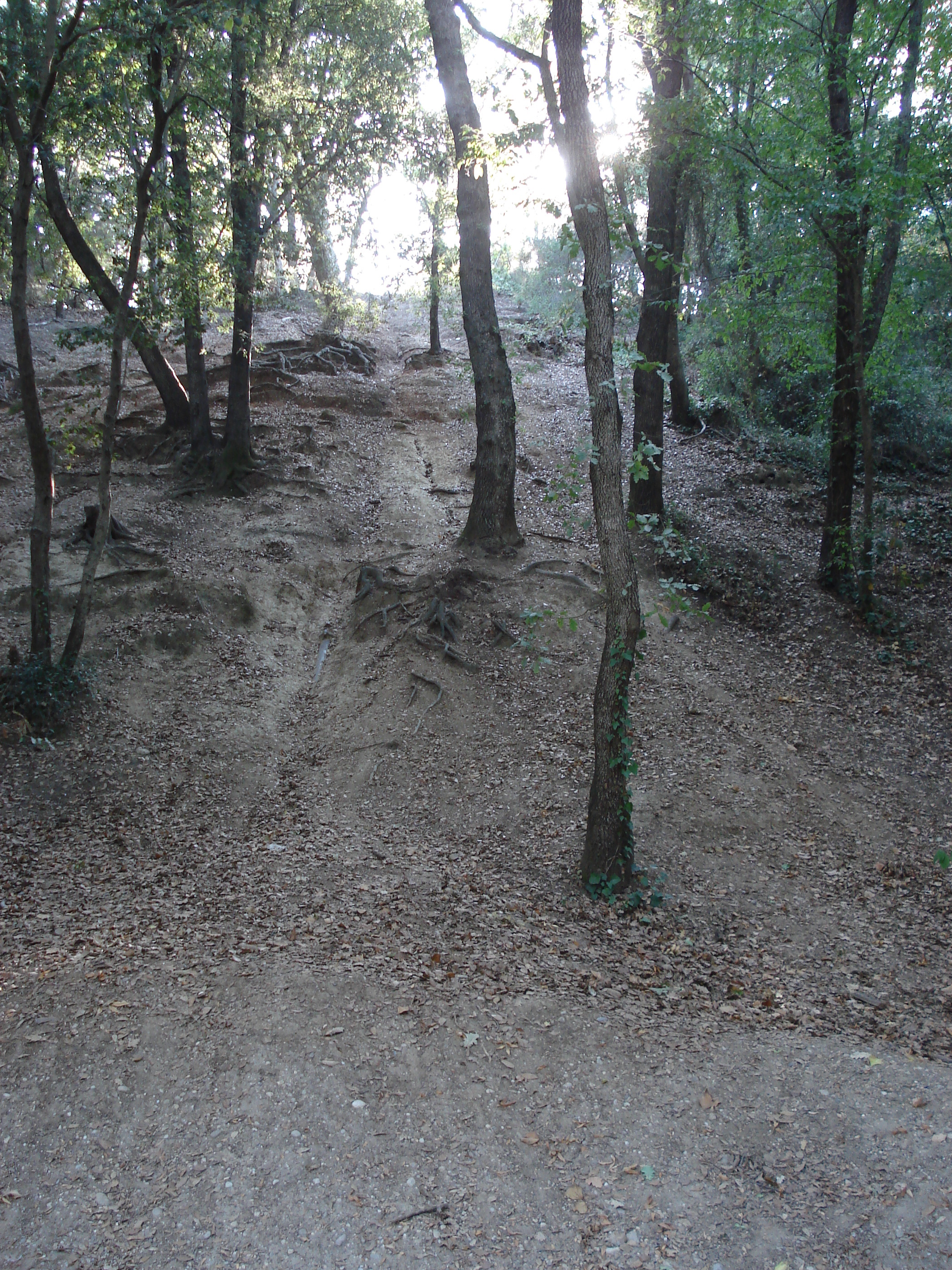 Picture France Villeneuve Loubet Parc de Vaugrenier 2006-09 14 - Journey Parc de Vaugrenier