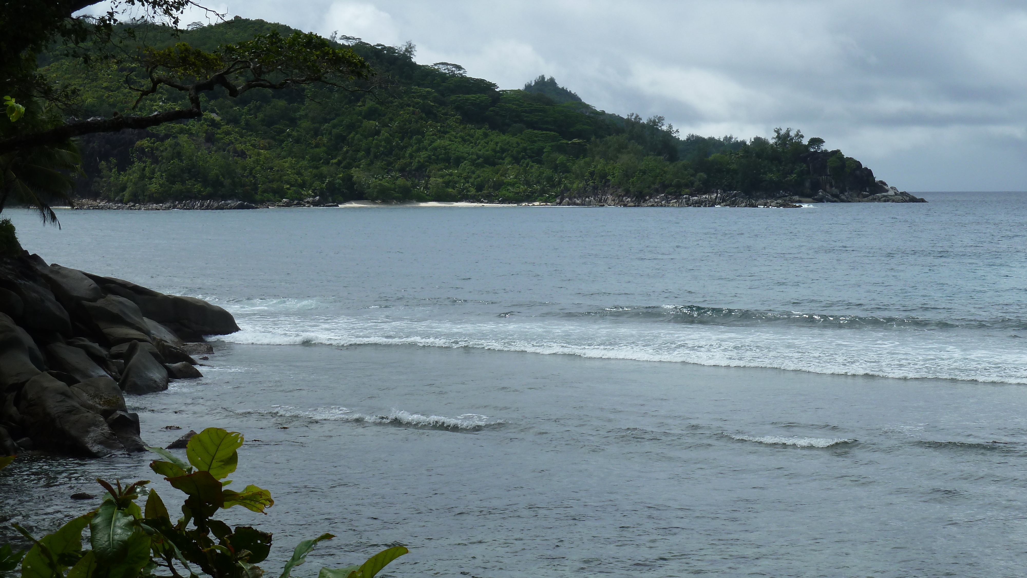 Picture Seychelles Mahe 2011-10 76 - Discovery Mahe