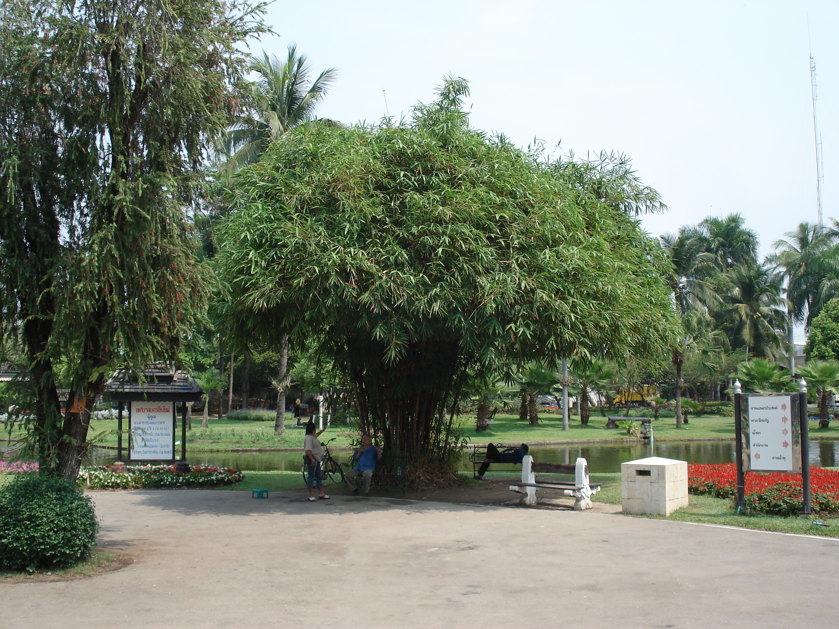 Picture Thailand Chiang Mai Inside Canal Buak Had Park 2006-04 2 - Center Buak Had Park