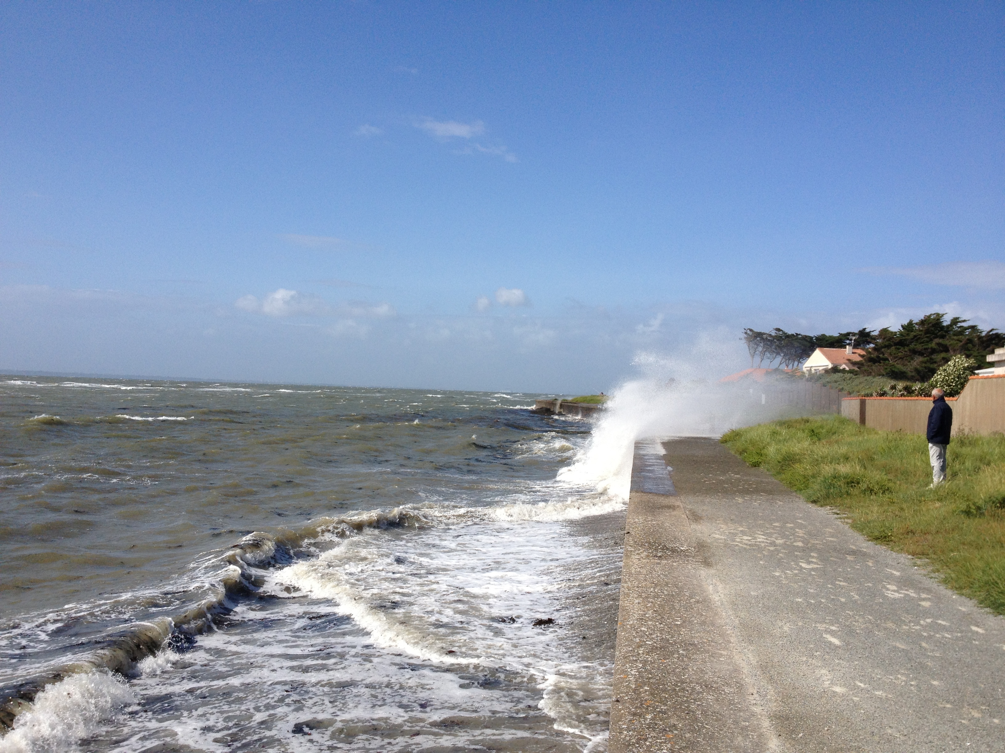 Picture France La Plaine sur mer 2013-06 1 - Around La Plaine sur mer