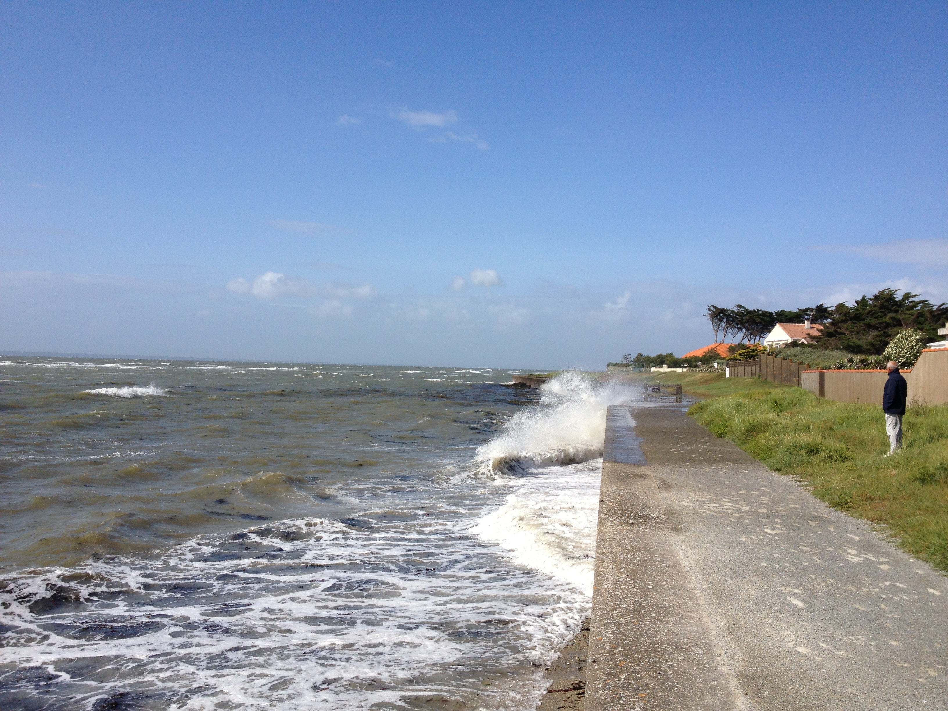 Picture France La Plaine sur mer 2013-06 3 - Discovery La Plaine sur mer