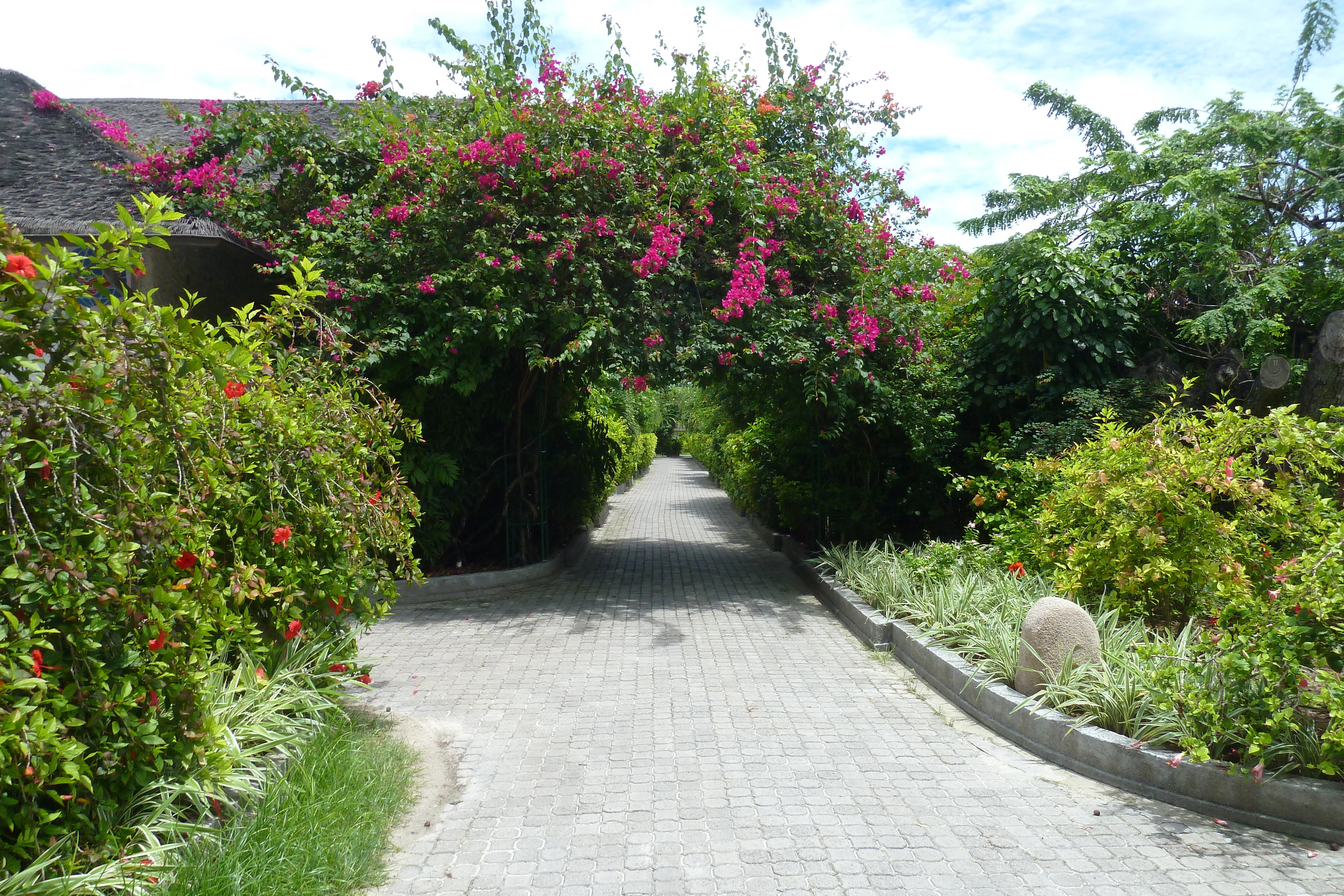 Picture Seychelles La Digue 2011-10 144 - Tours La Digue