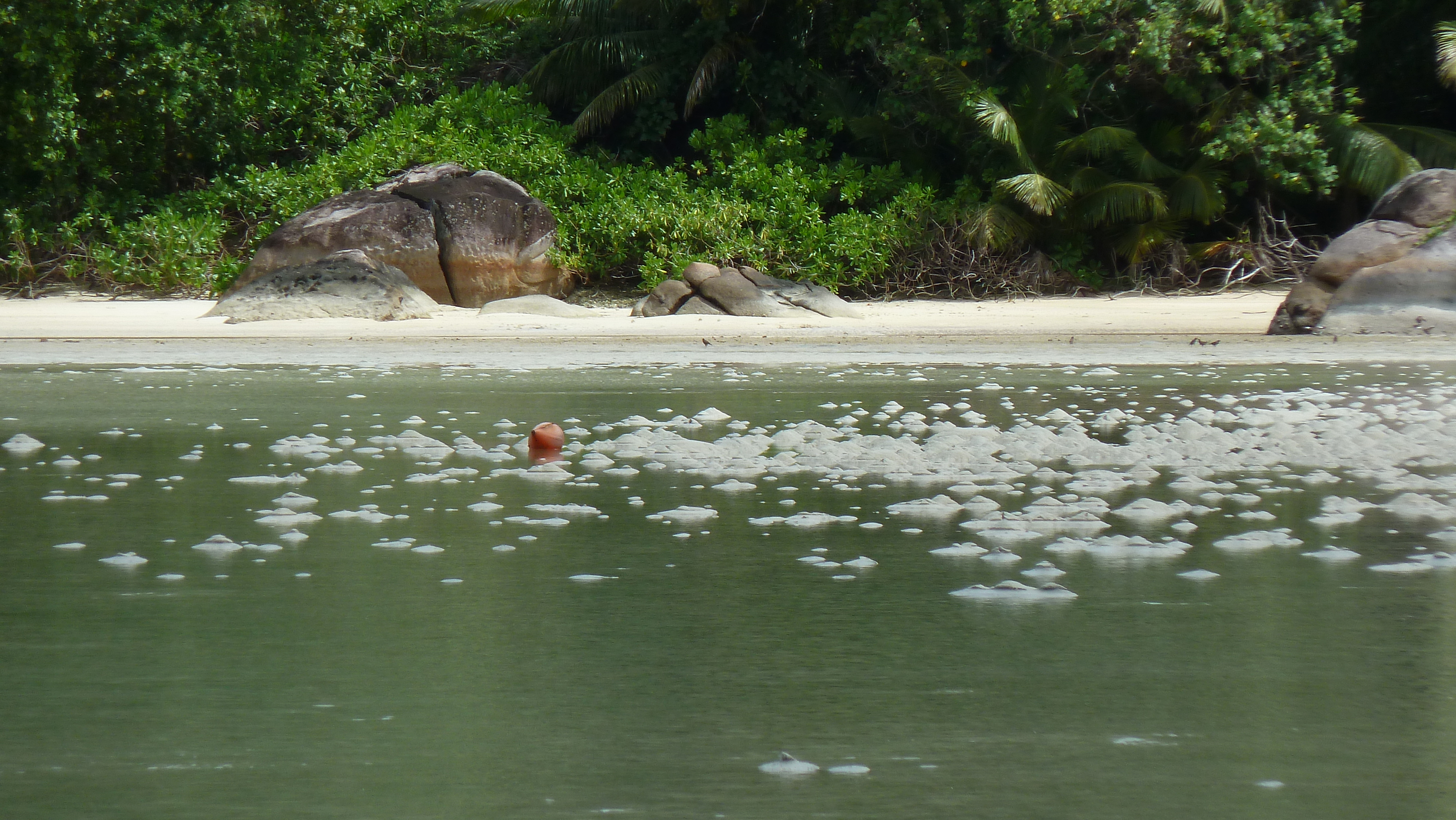 Picture Seychelles Mahe 2011-10 205 - History Mahe