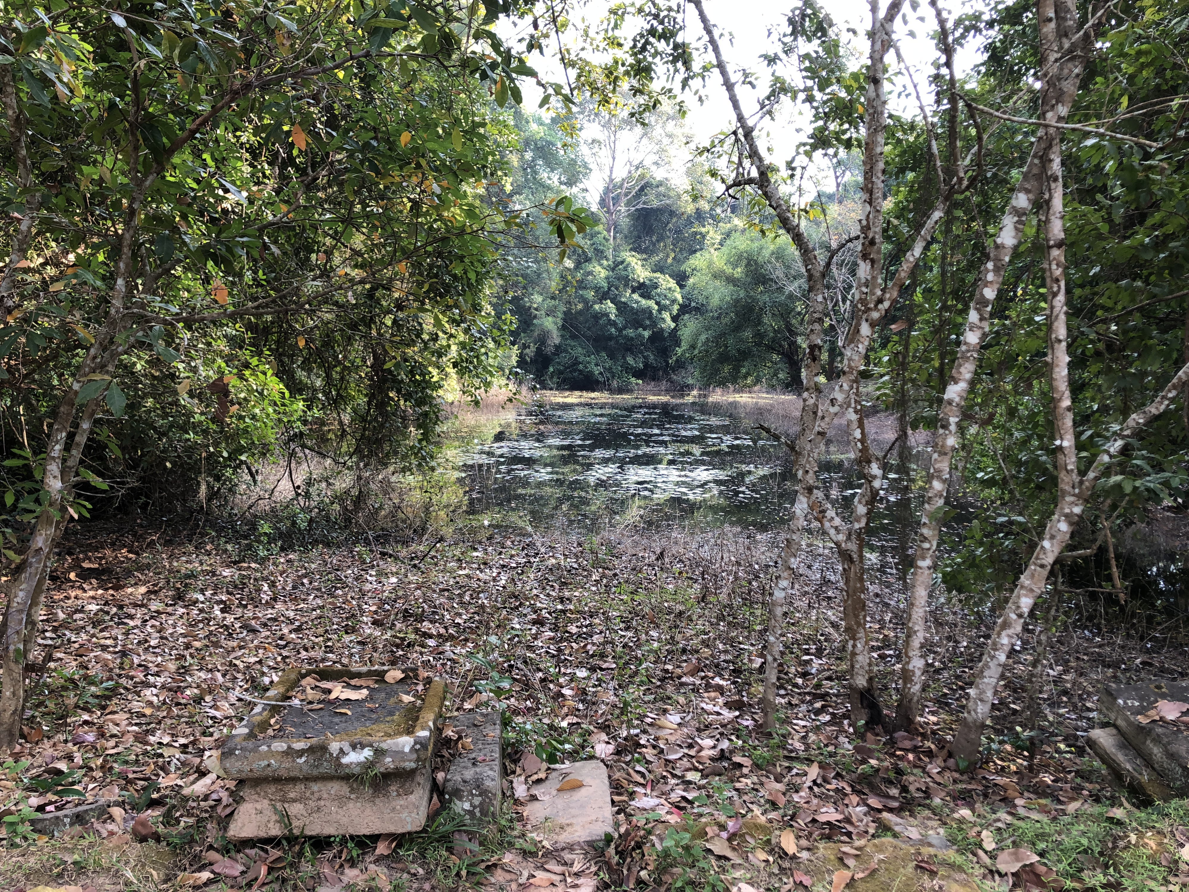 Picture Cambodia Siem Reap Banteay Kdei 2023-01 24 - Journey Banteay Kdei