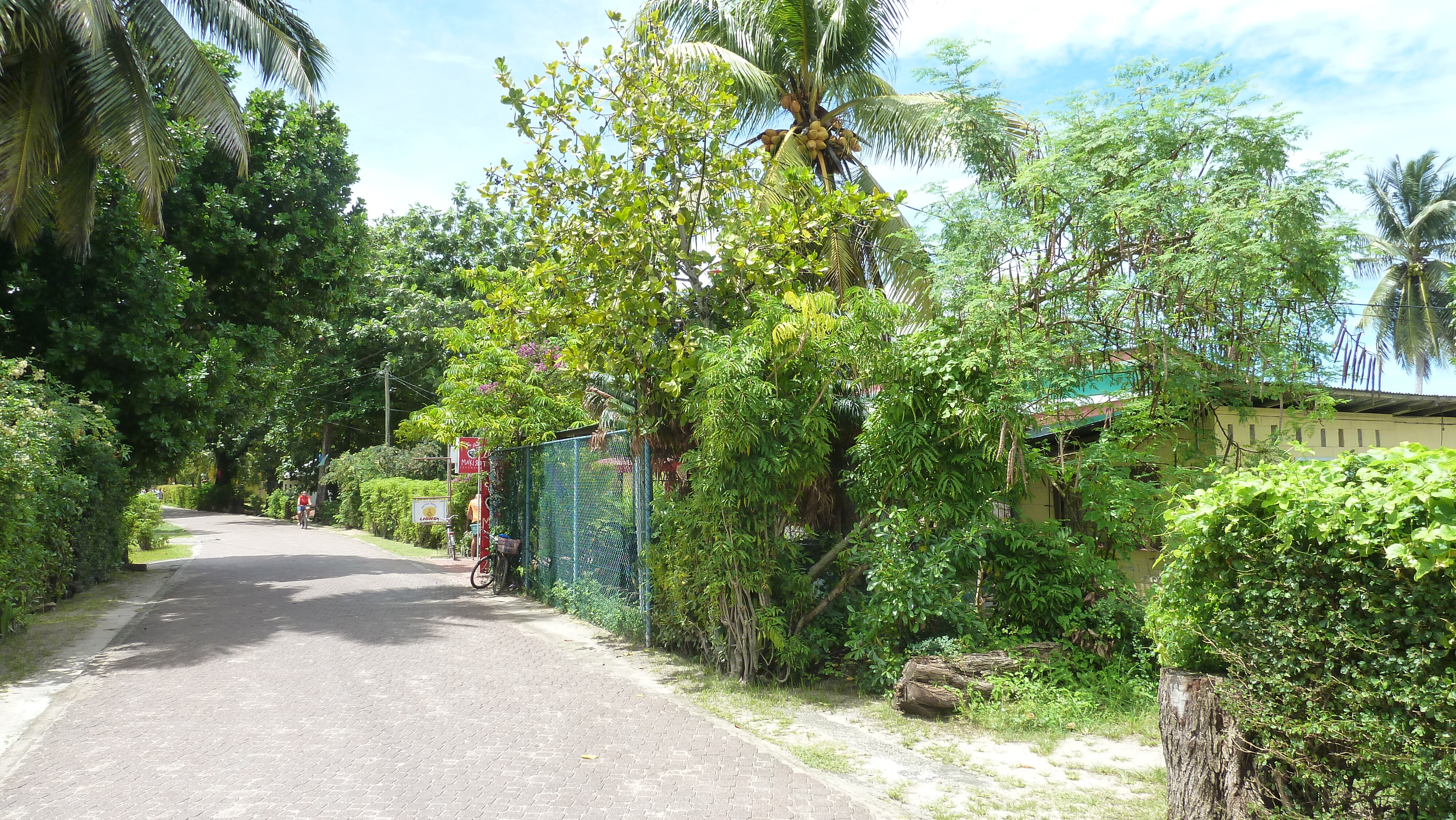 Picture Seychelles La Digue 2011-10 102 - History La Digue