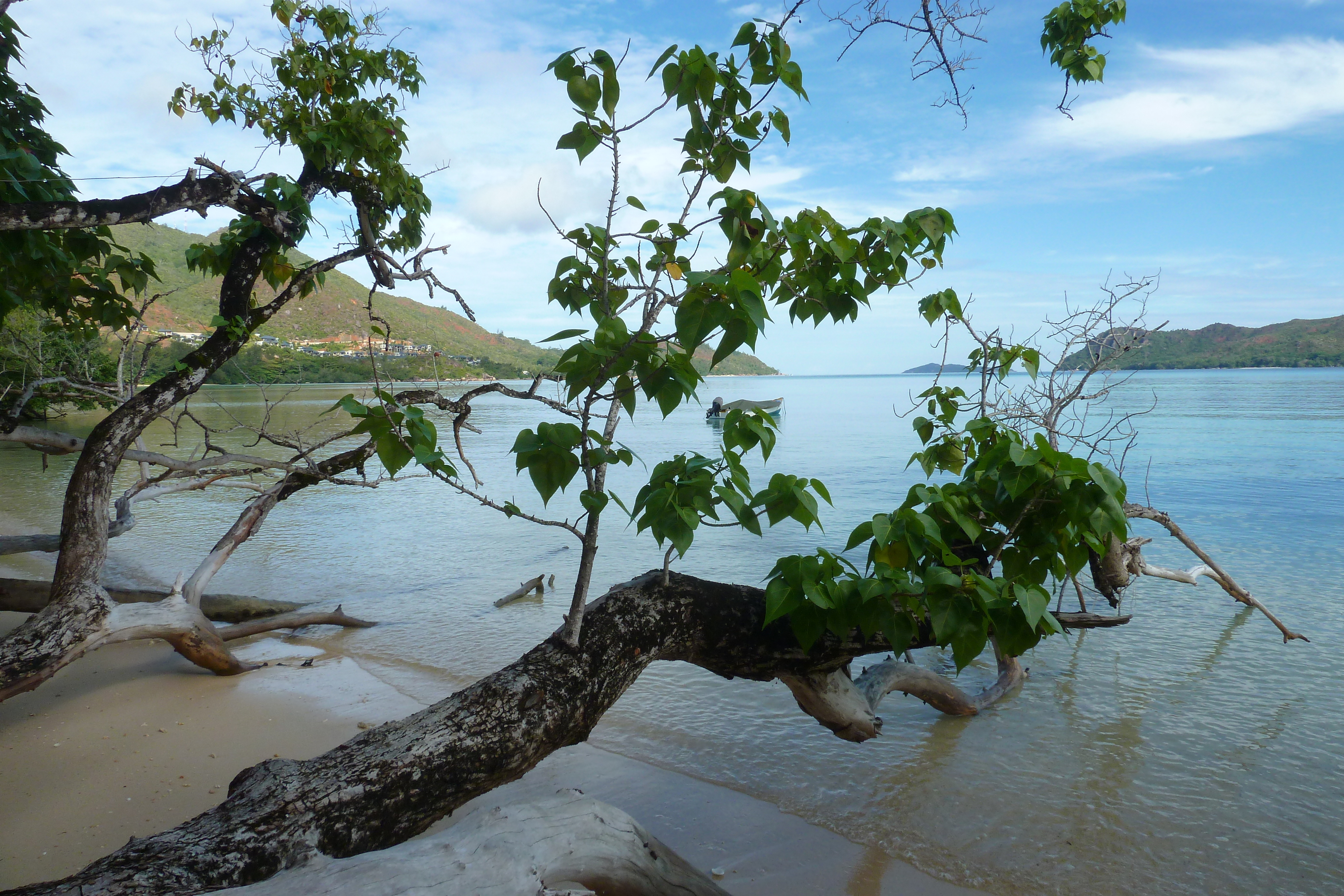 Picture Seychelles 2011-10 70 - Discovery Seychelles