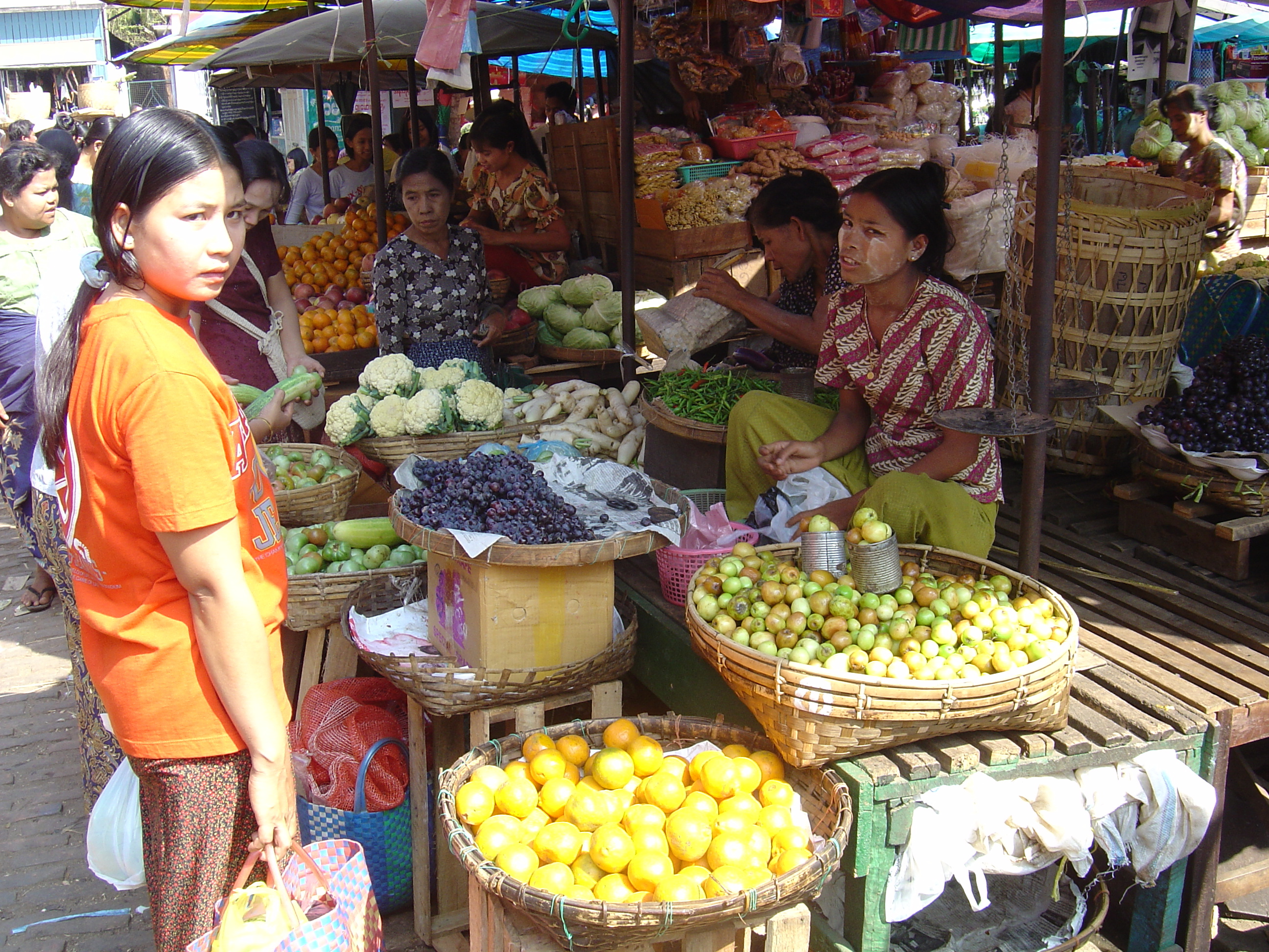 Picture Myanmar Dawei (TAVOY) 2005-01 140 - Around Dawei (TAVOY)