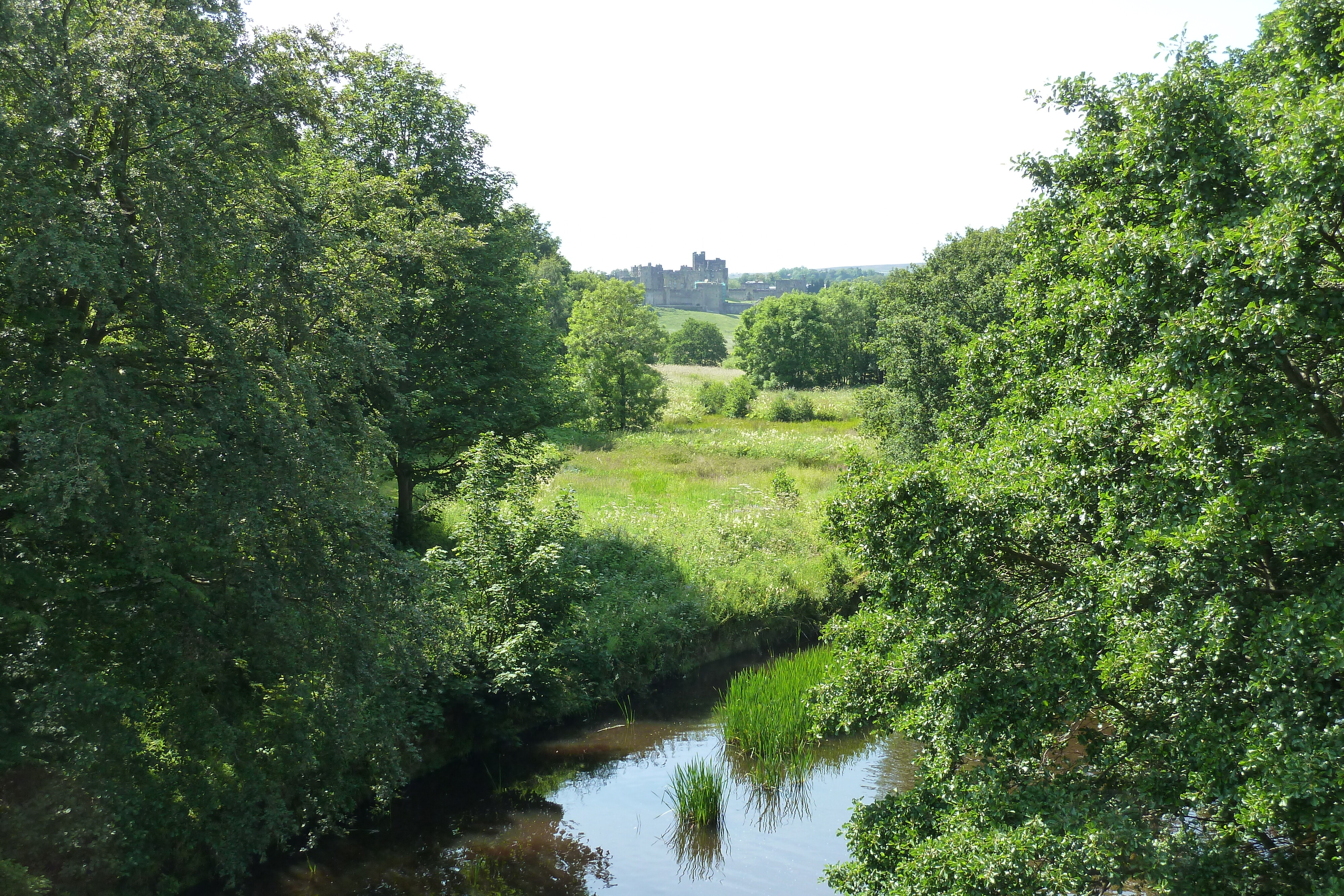 Picture United Kingdom Scotland Alnwick 2011-07 25 - Around Alnwick