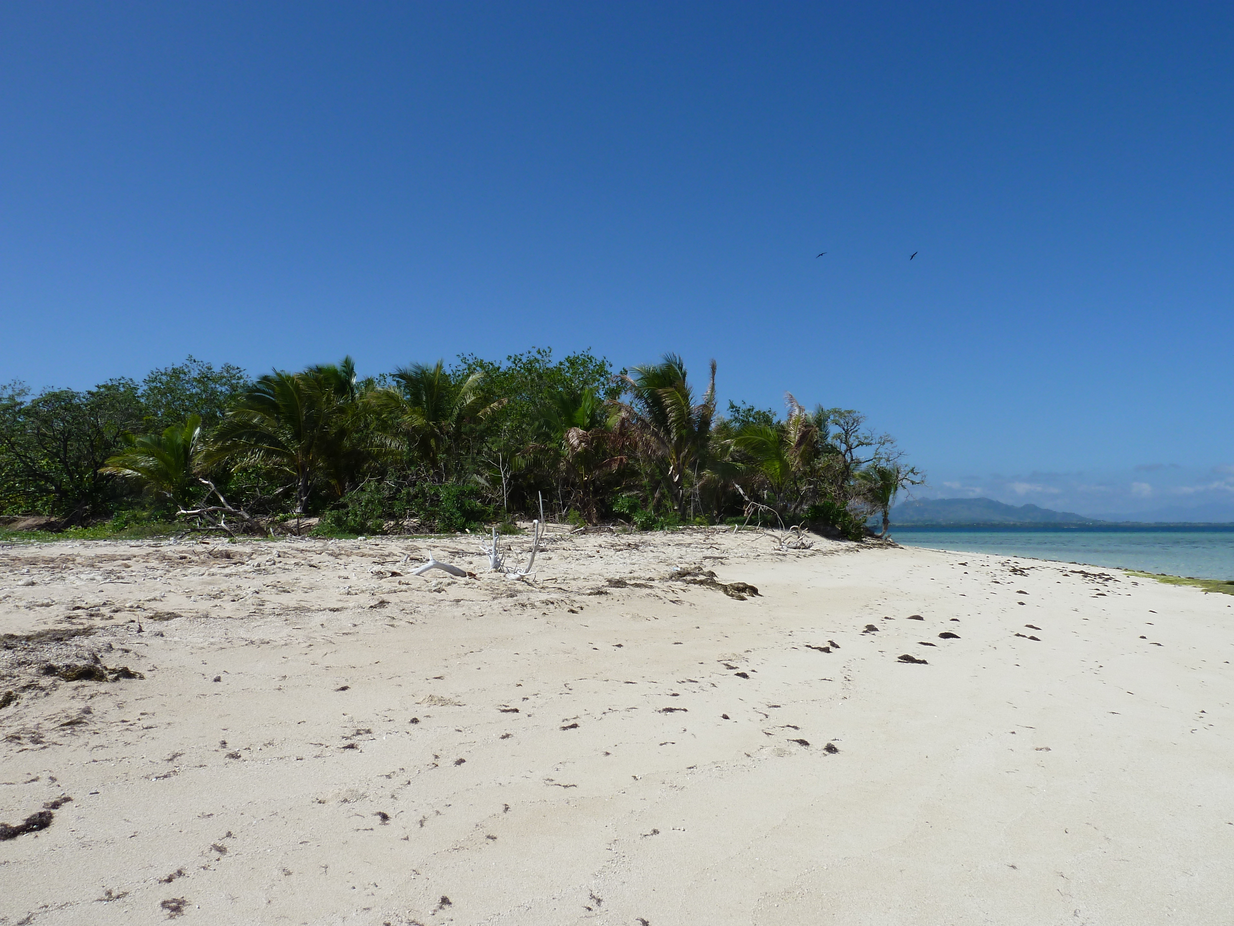 Picture Fiji Captain Cook Cruises 2010-05 72 - Recreation Captain Cook Cruises