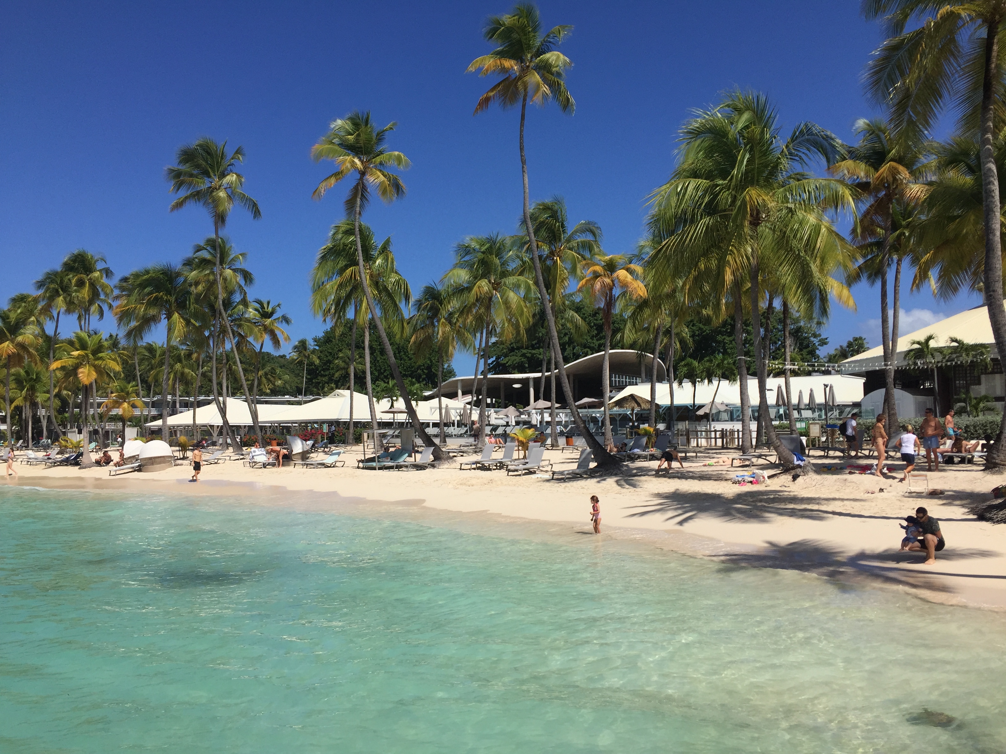 Picture Guadeloupe La Caravelle Beach 2021-02 40 - Around La Caravelle Beach