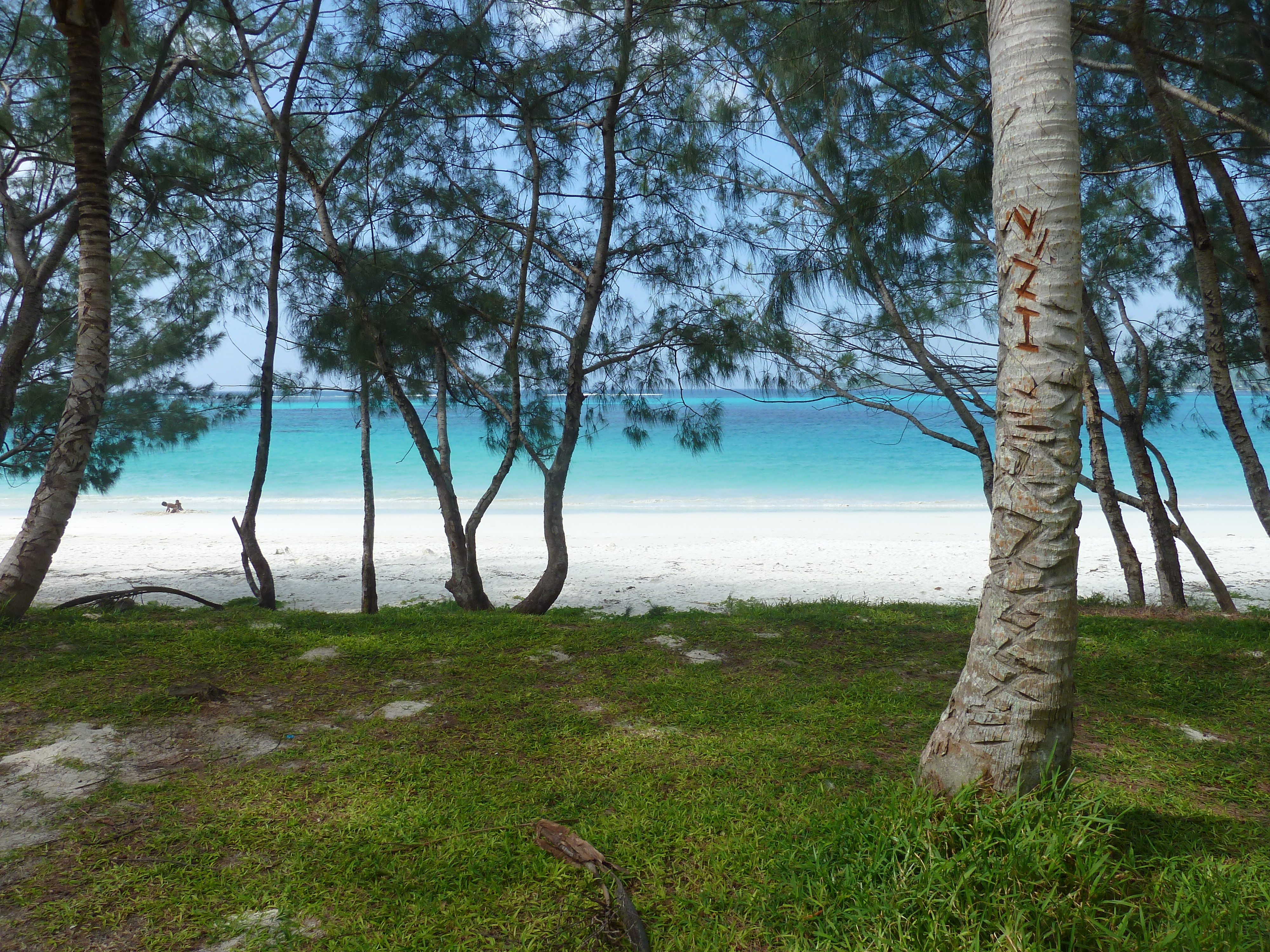 Picture New Caledonia Lifou Chateaubriant bay 2010-05 93 - Tour Chateaubriant bay