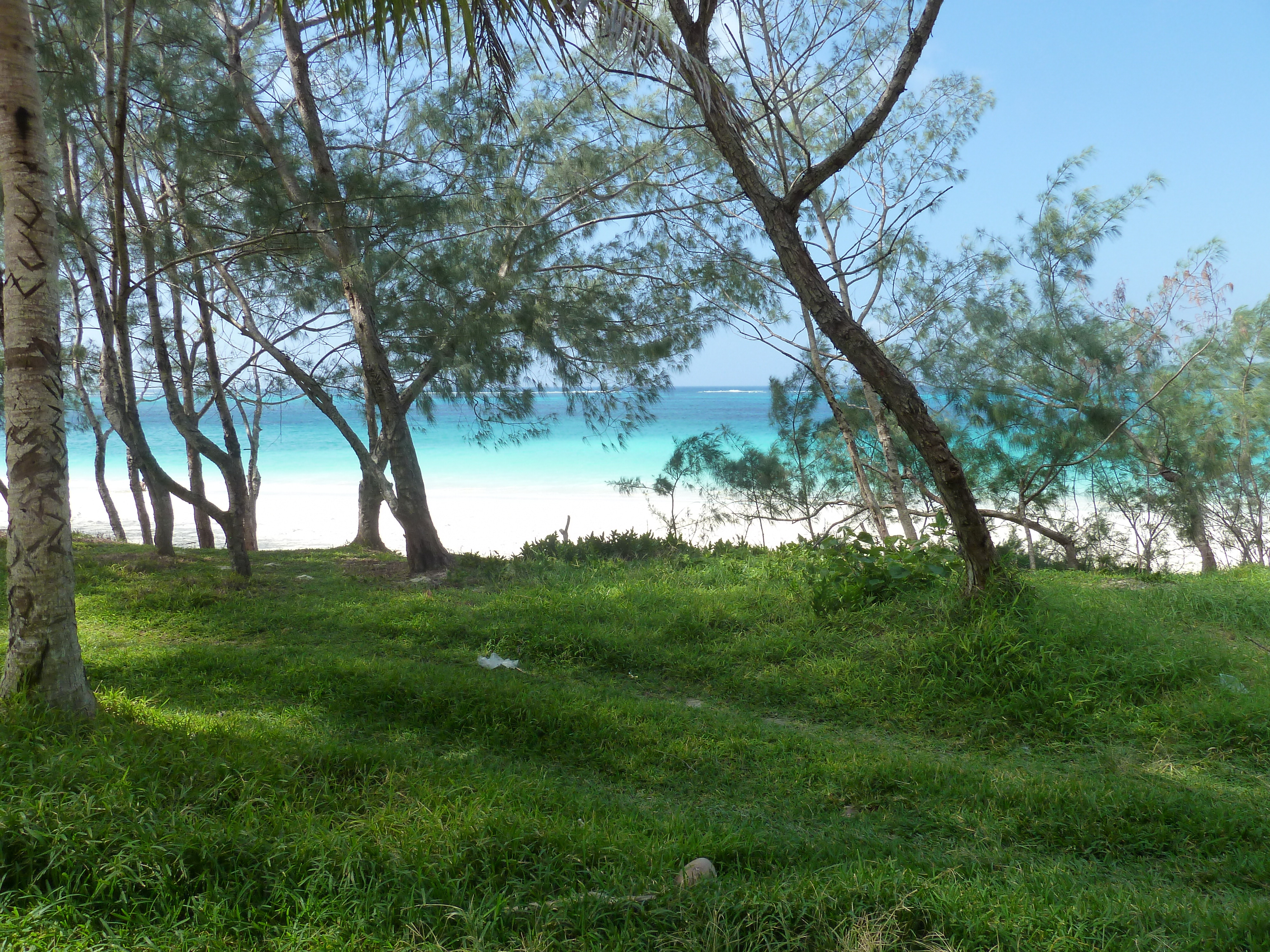 Picture New Caledonia Lifou Chateaubriant bay 2010-05 86 - Tour Chateaubriant bay