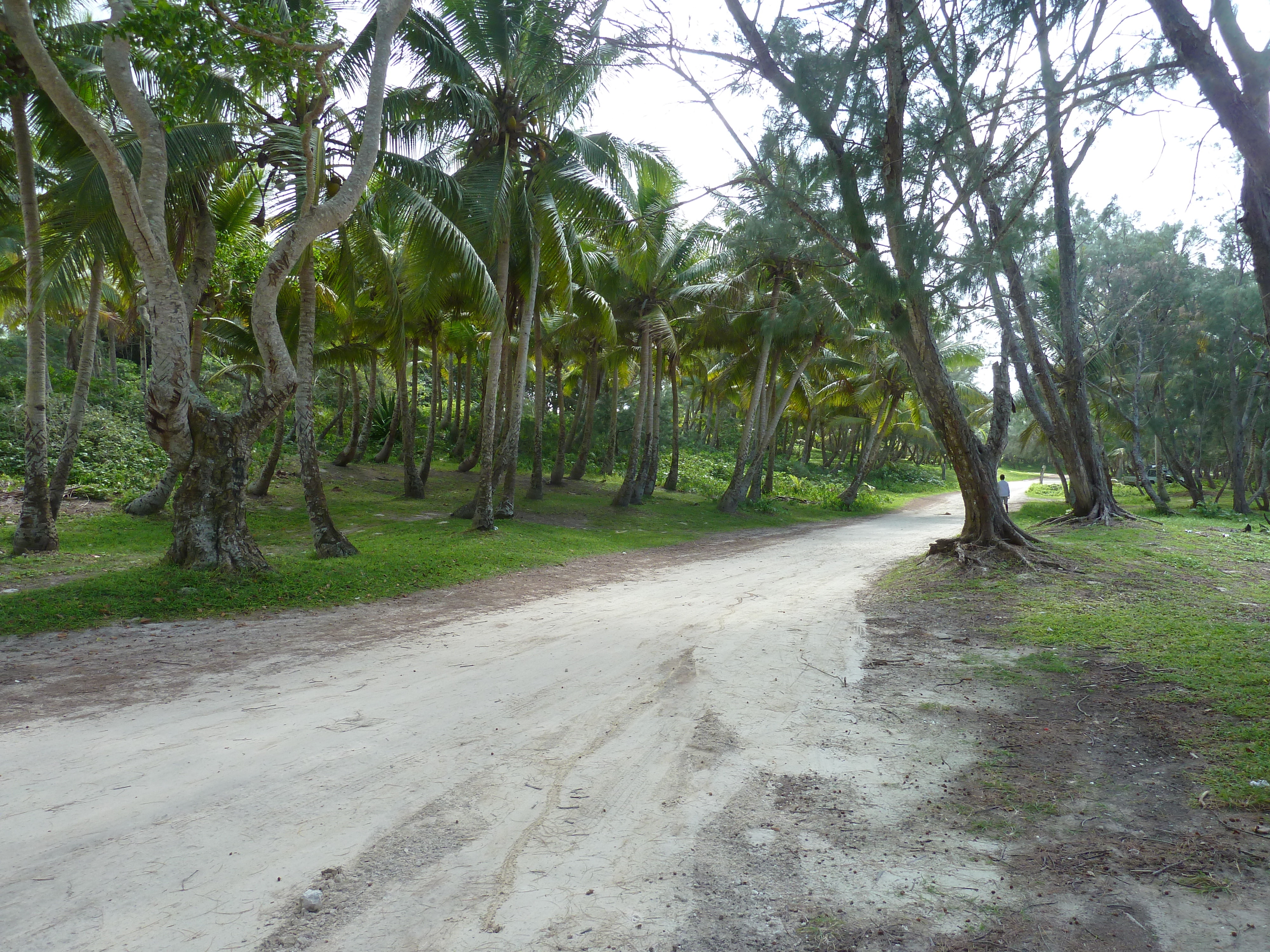 Picture New Caledonia Lifou Chateaubriant bay 2010-05 98 - Around Chateaubriant bay