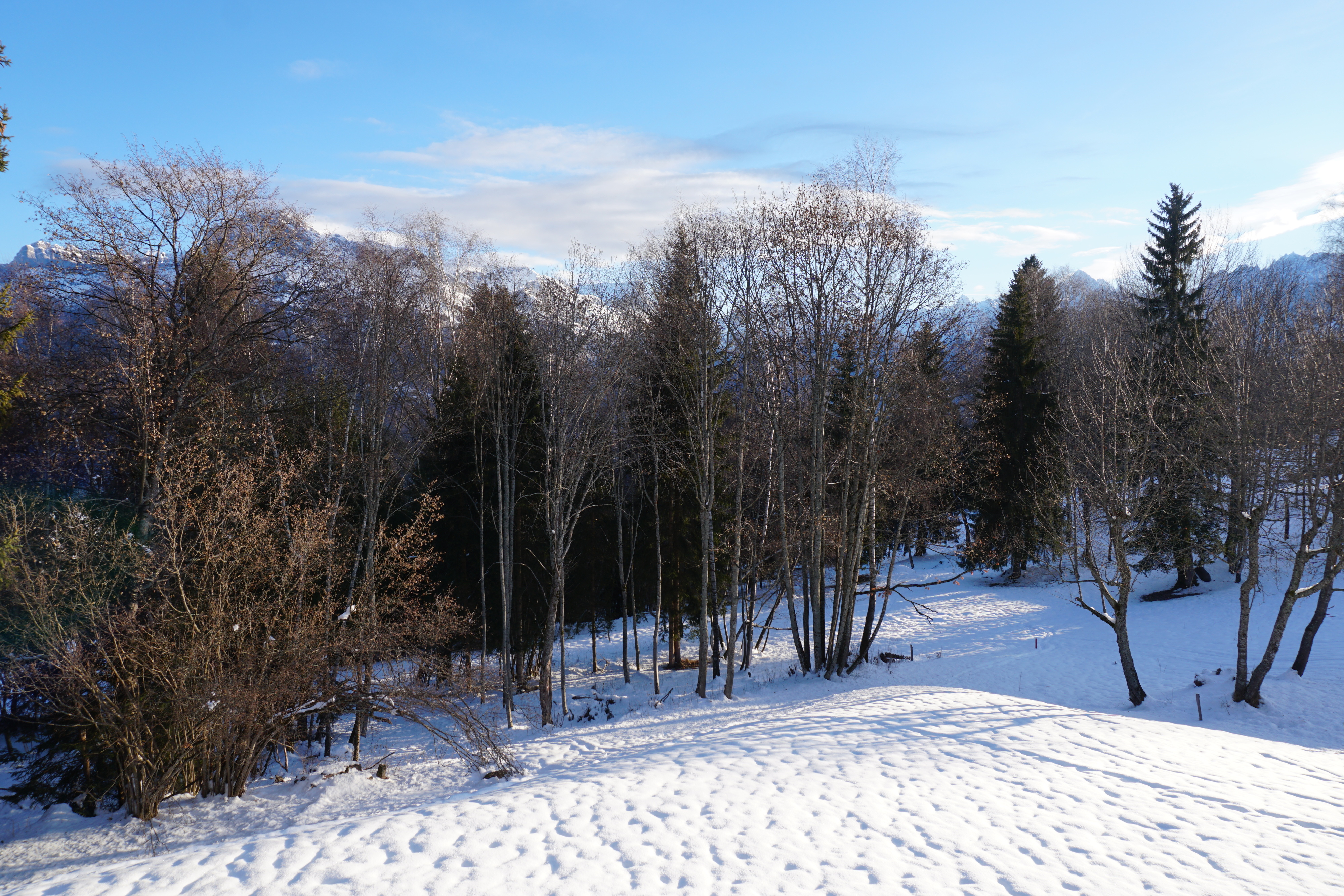 Picture France Megeve 2017-02 43 - History Megeve