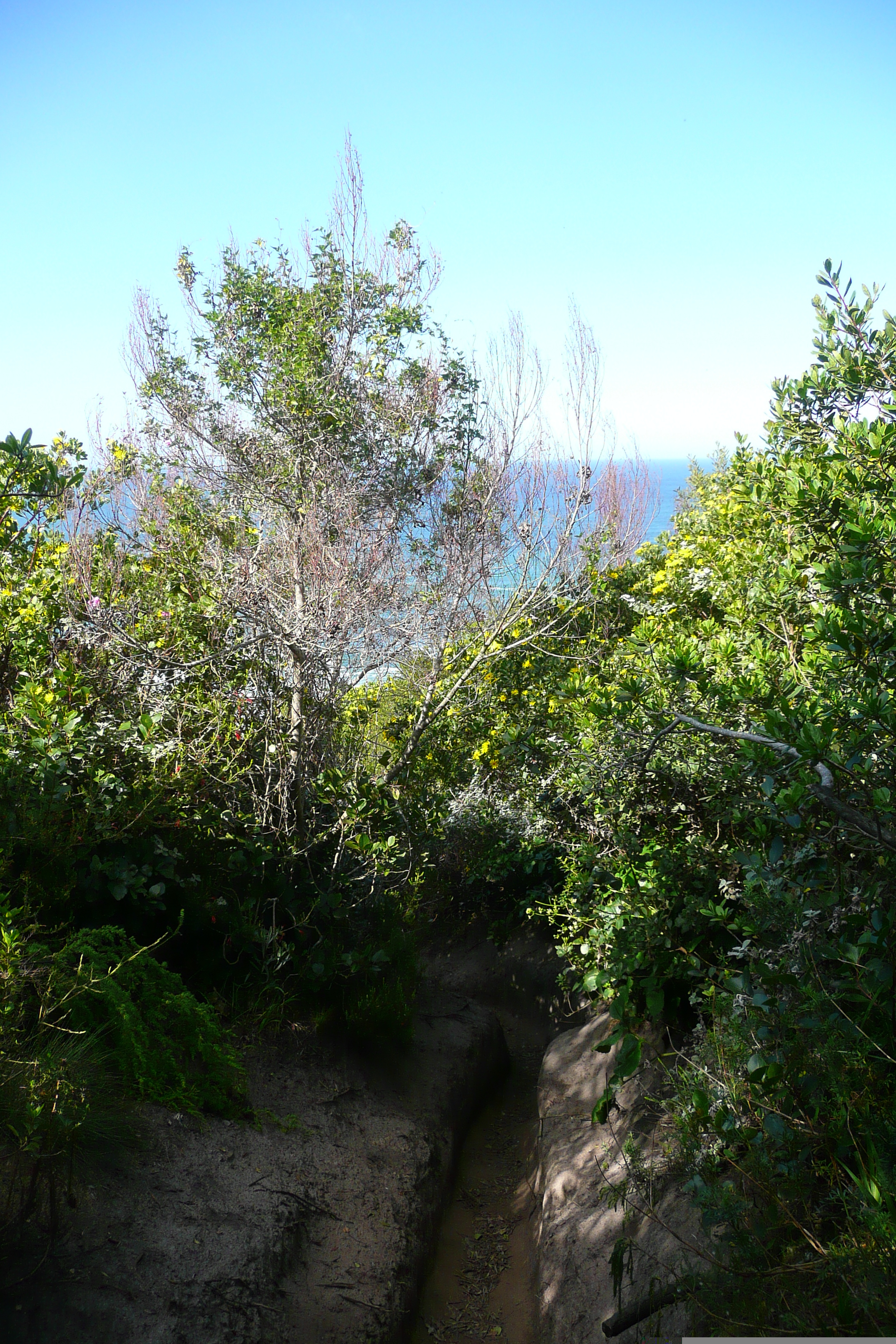 Picture South Africa Knysna Heads 2008-09 27 - Recreation Knysna Heads