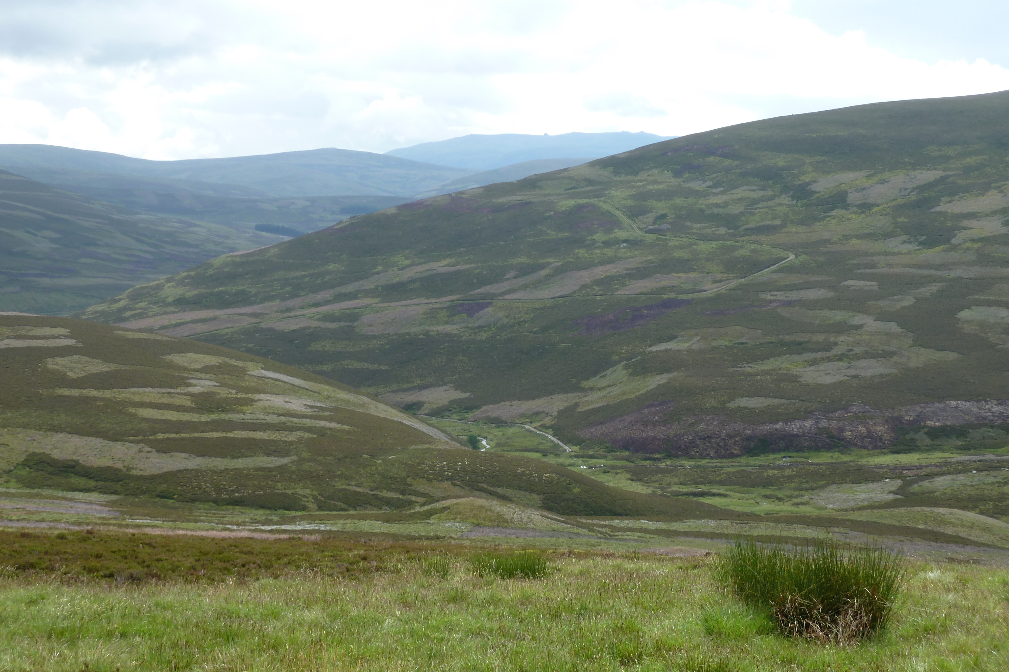 Picture United Kingdom Cairngorms National Park 2011-07 139 - Discovery Cairngorms National Park