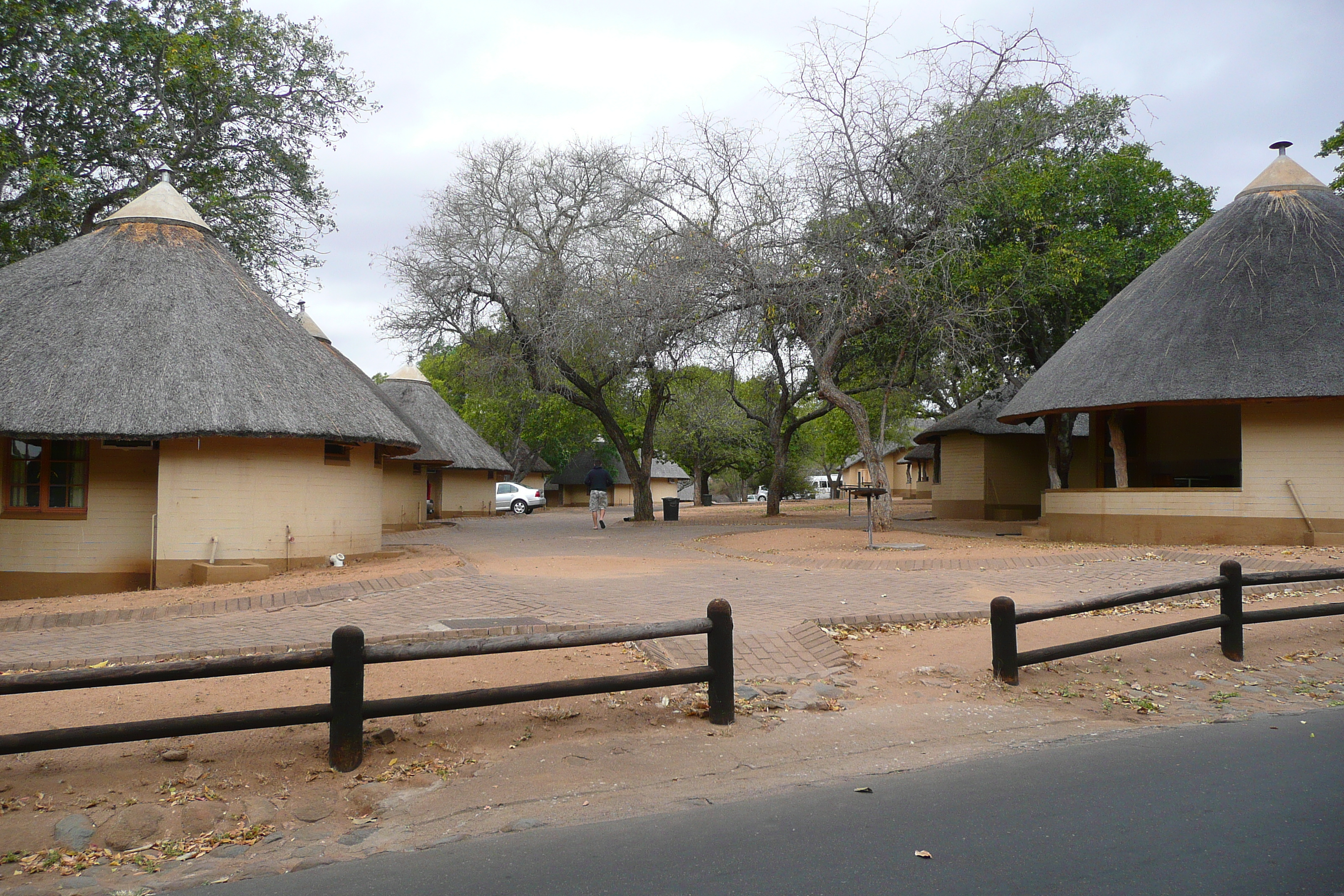 Picture South Africa Kruger National Park 2008-09 10 - Tours Kruger National Park