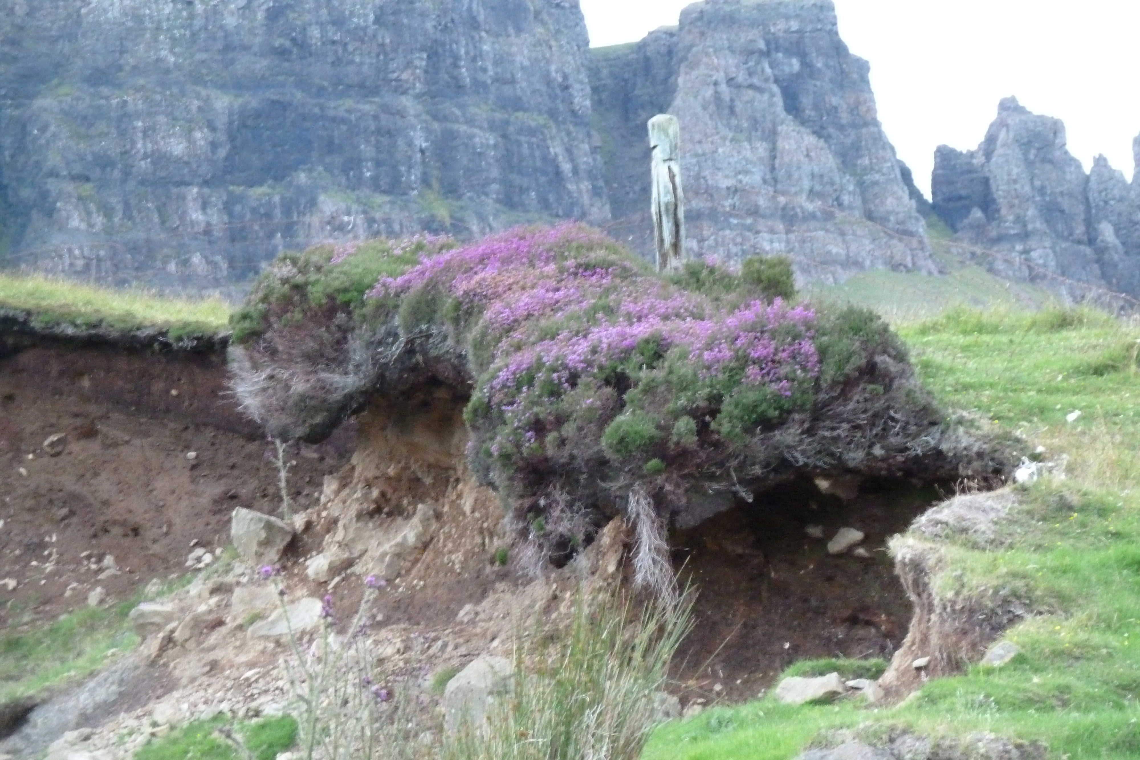 Picture United Kingdom Skye 2011-07 251 - Discovery Skye