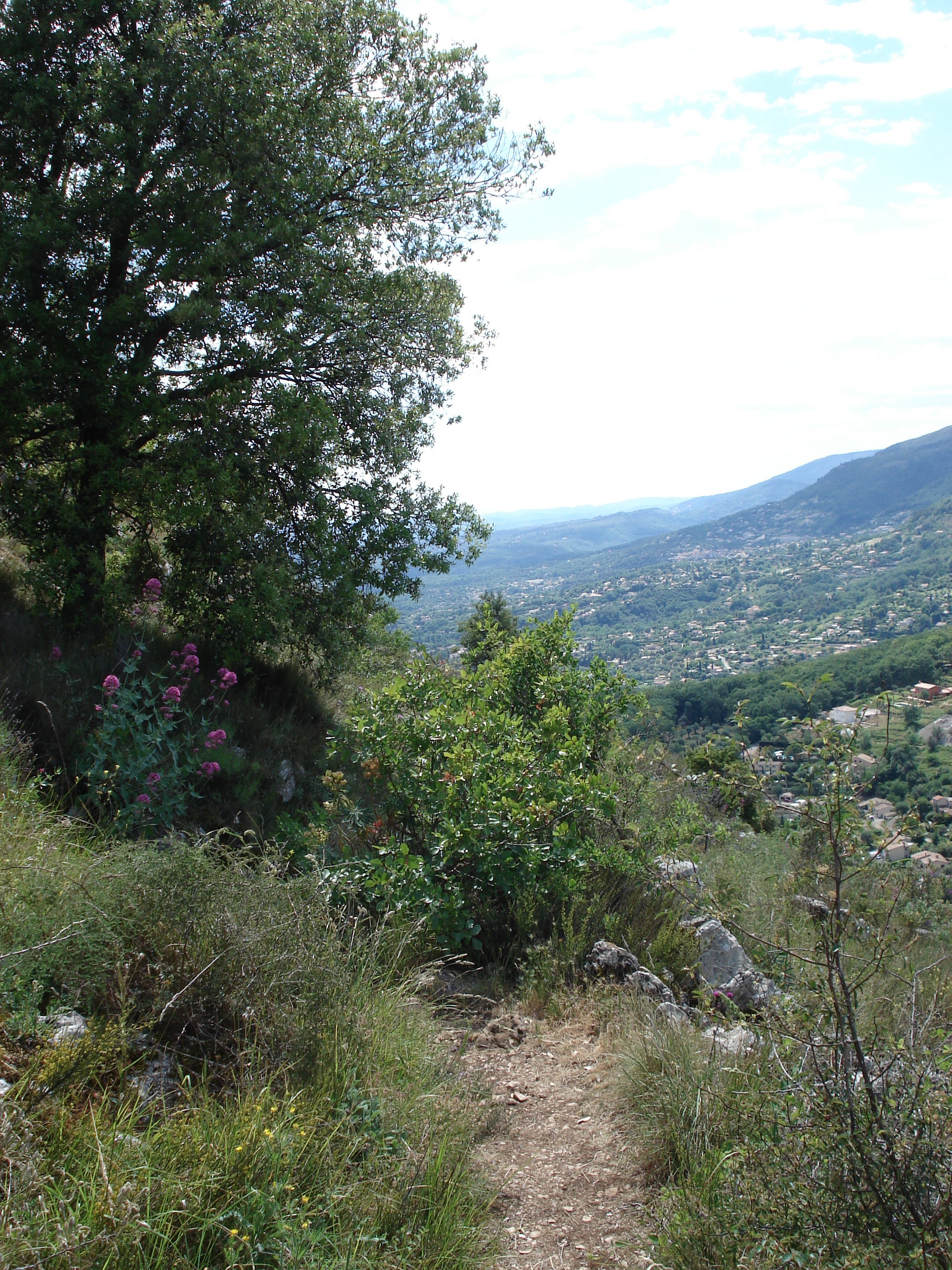 Picture France Vence Baou 2006-06 47 - Journey Baou