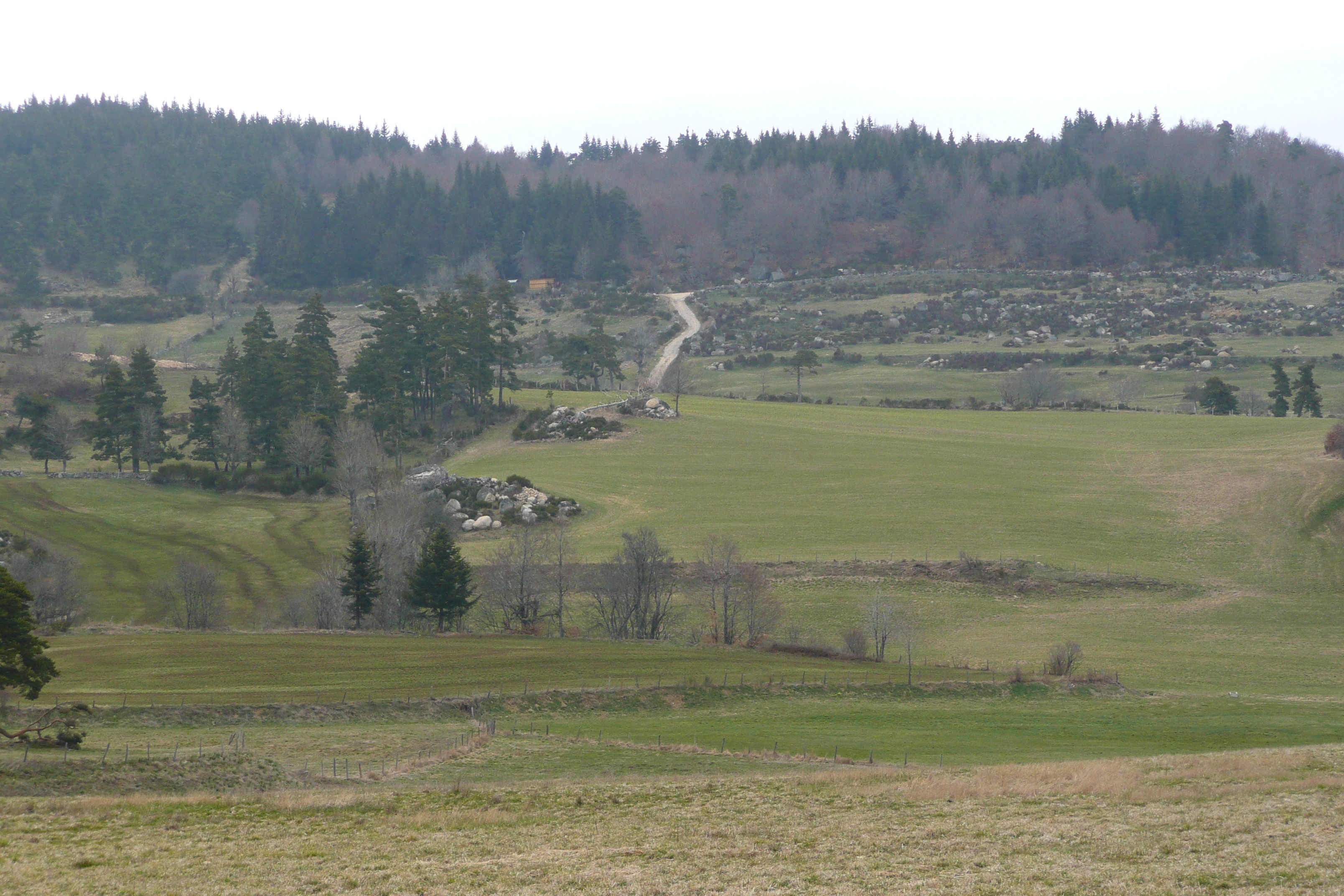 Picture France L'Aubrac 2008-04 62 - History L'Aubrac