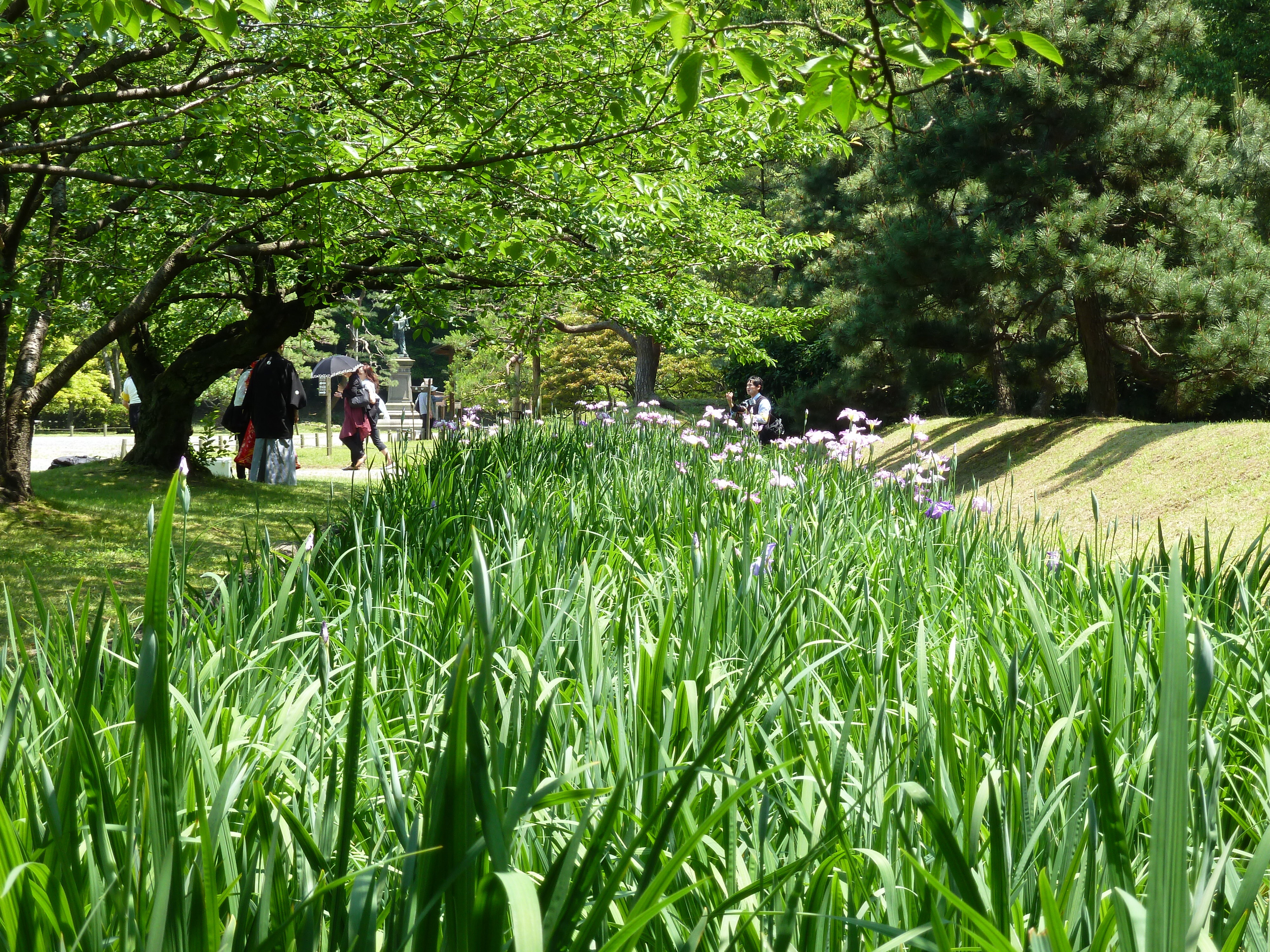 Picture Japan Tokyo Hama rikyu Gardens 2010-06 110 - Discovery Hama rikyu Gardens