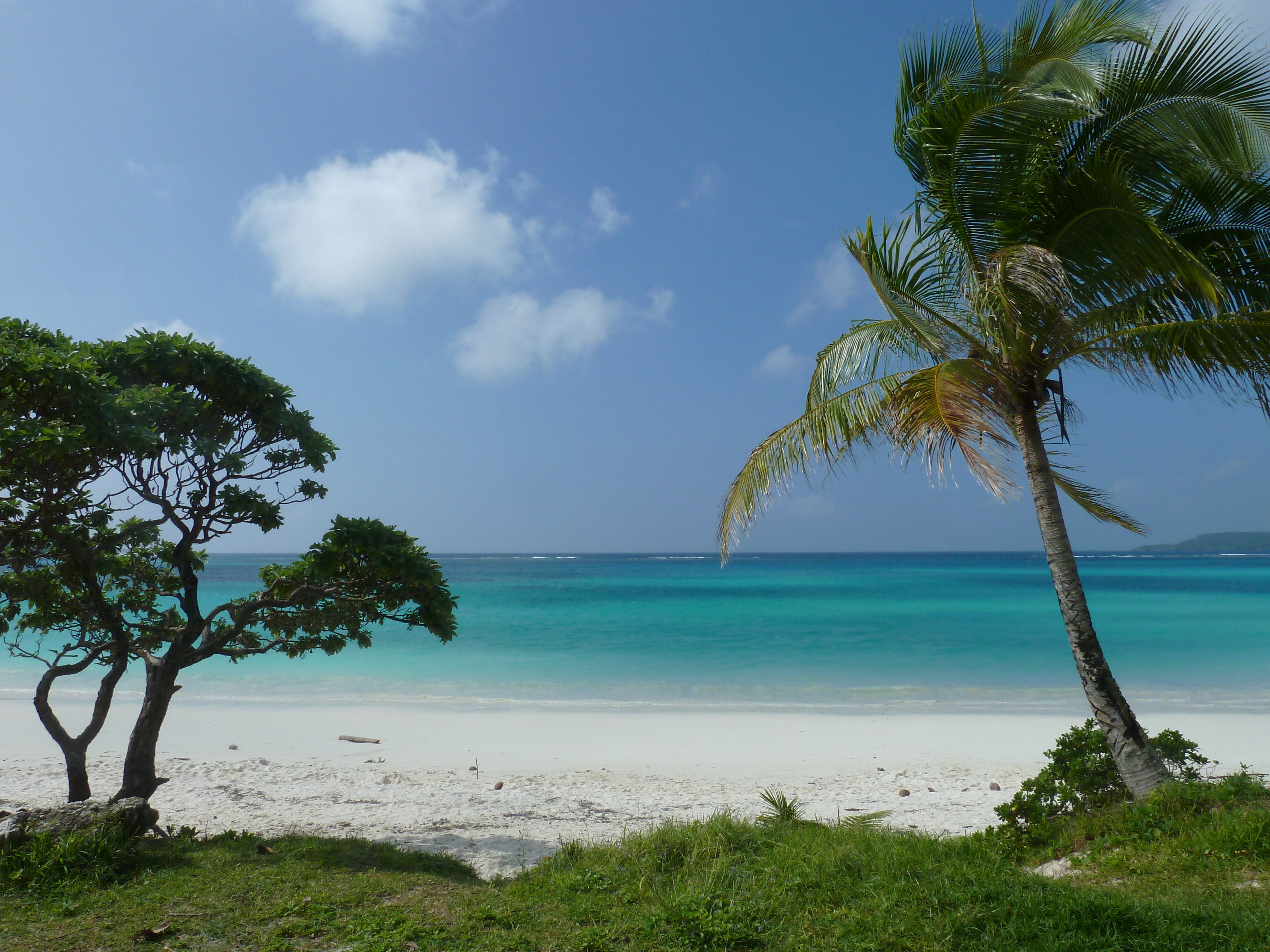 Picture New Caledonia Lifou Chateaubriant bay 2010-05 89 - Discovery Chateaubriant bay