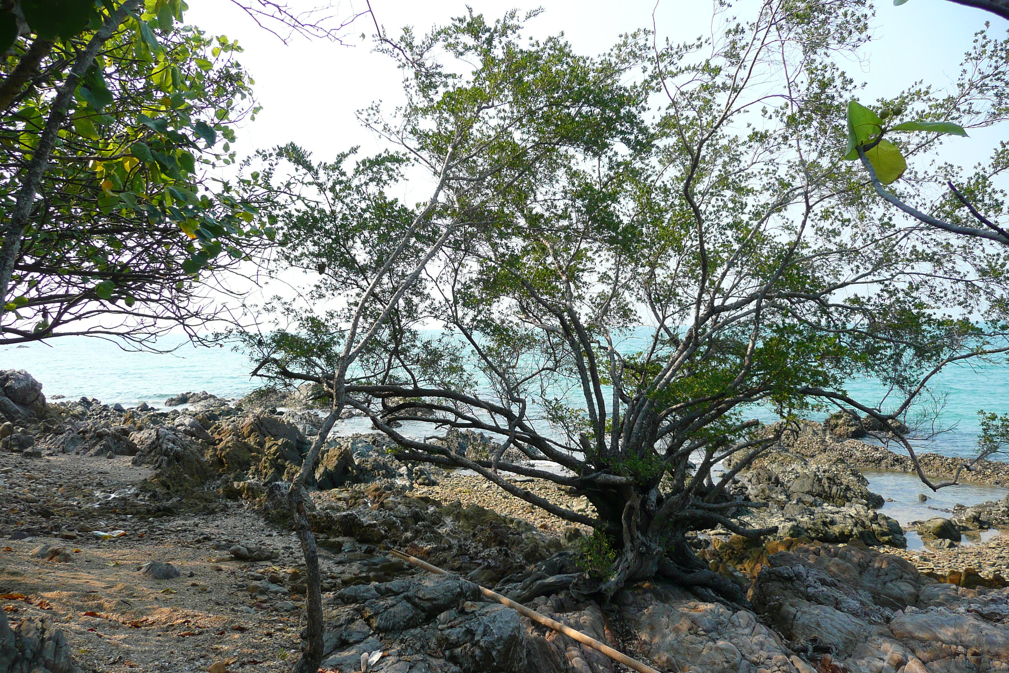 Picture Thailand Chonburi Sai Keaw Beach 2008-01 27 - Recreation Sai Keaw Beach