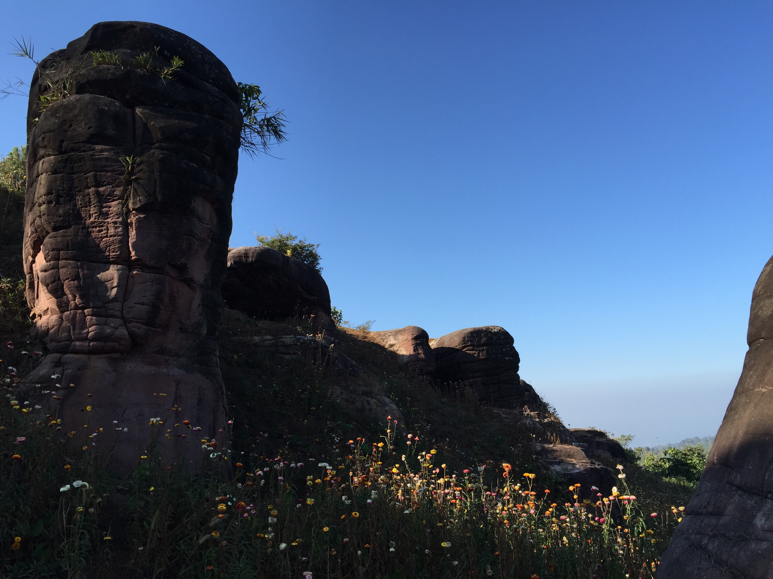 Picture Thailand Phu Hin Rong Kla National Park 2014-12 5 - Tour Phu Hin Rong Kla National Park