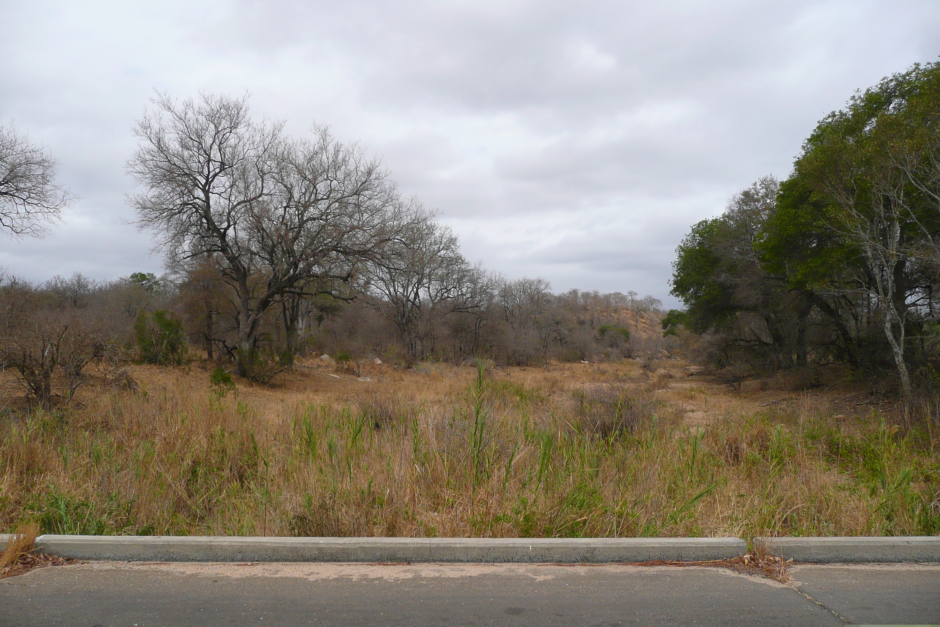 Picture South Africa Kruger National Park 2008-09 177 - Tours Kruger National Park