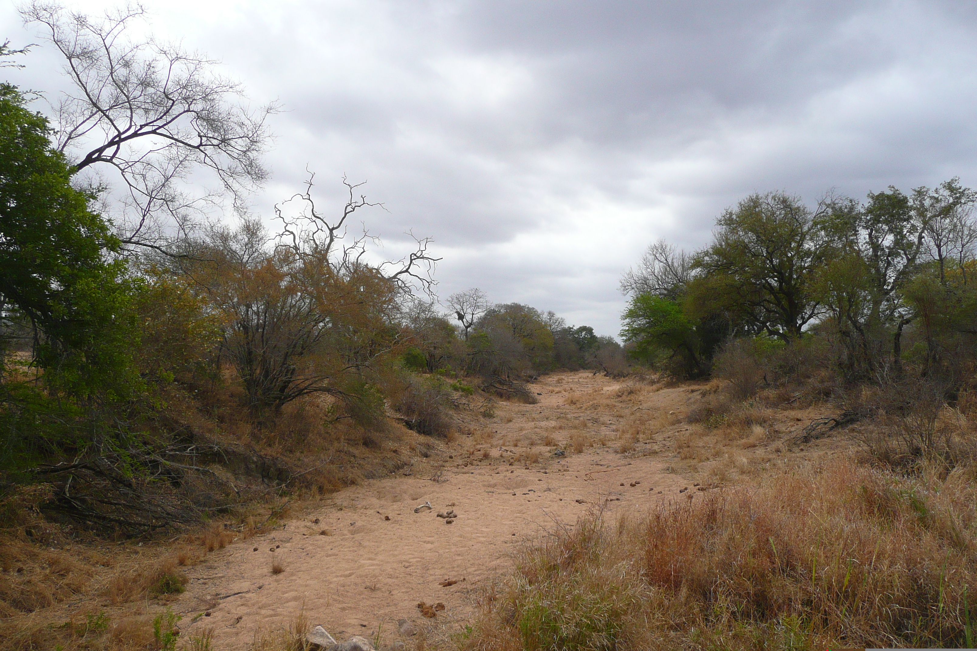 Picture South Africa Kruger National Park 2008-09 176 - History Kruger National Park